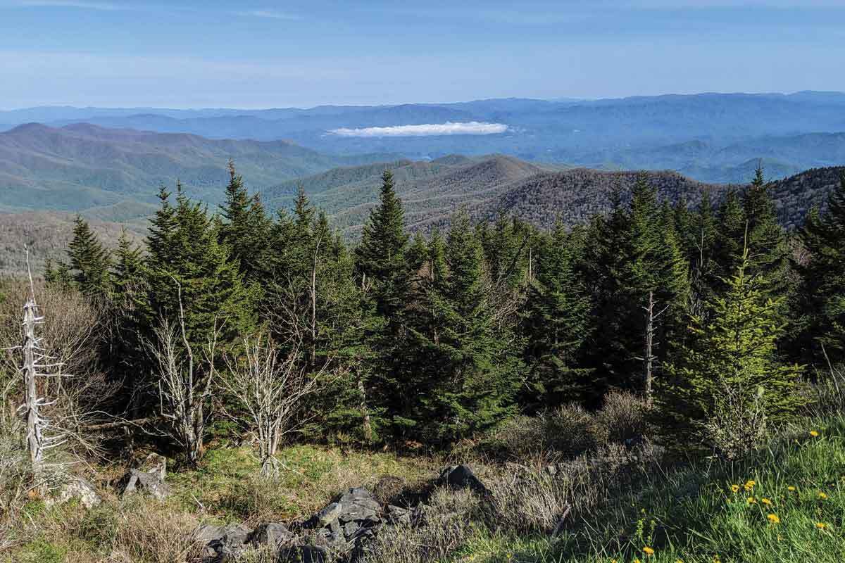 Mysteries-Of-Grandfather-Mountain-Forests mysteries-of-grandfather-mountain-forests