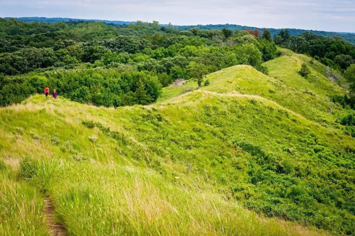 Mysteries-Of-Iowa8217s-Loess-Hills-Hollows mysteries-of-iowas-loess-hills-hollows