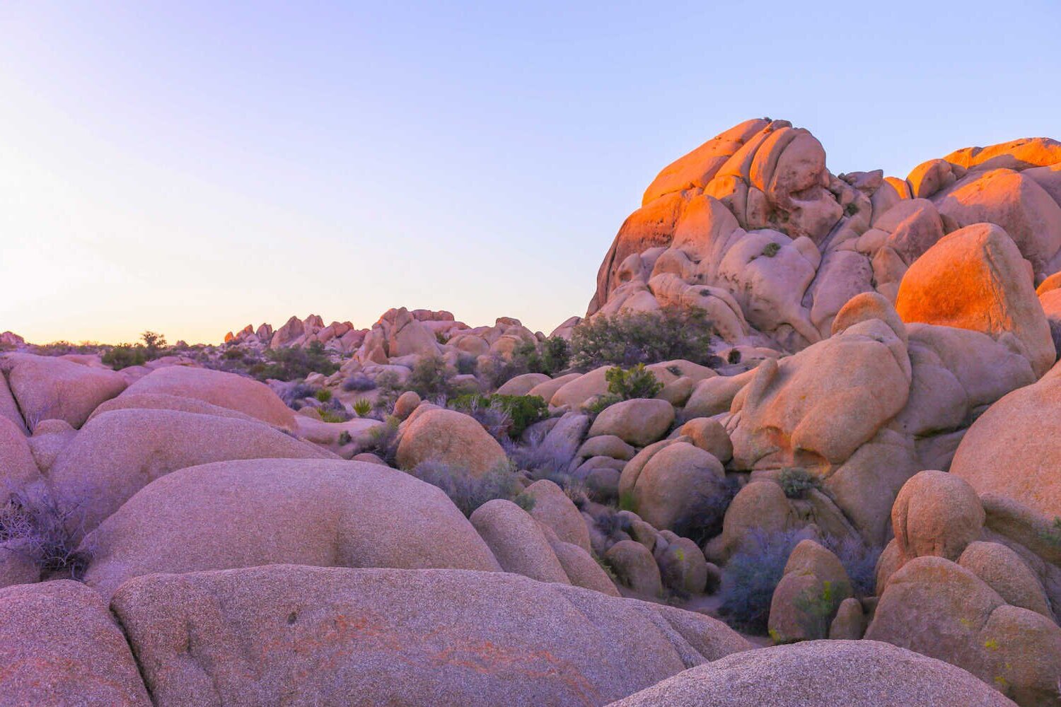 Mysteries-Of-Joshua-Tree8217s-Hidden-Waterways mysteries-of-joshua-trees-hidden-waterways