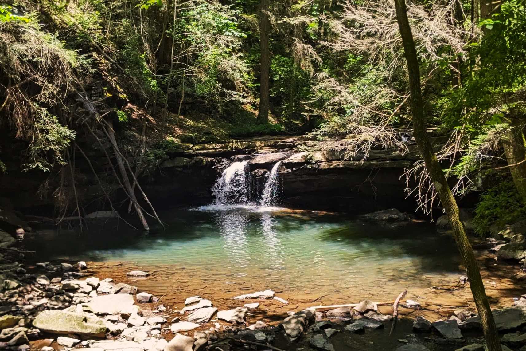 mysteries-of-monteagles-forests