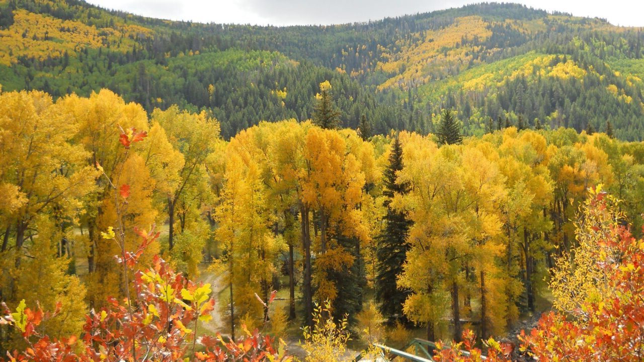 mysteries-of-mountain-paths-in-angel-fire-new-mexico