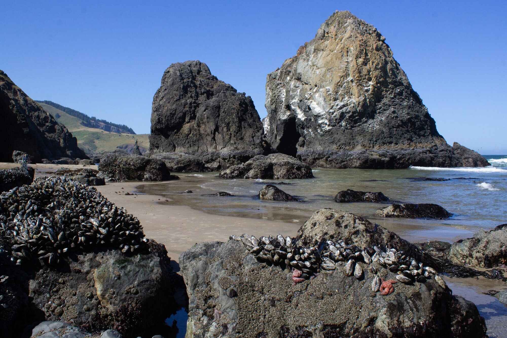 Mysteries-Of-Ocean-Paths-In-Lincoln-City-Oregon mysteries-of-ocean-paths-in-lincoln-city-oregon