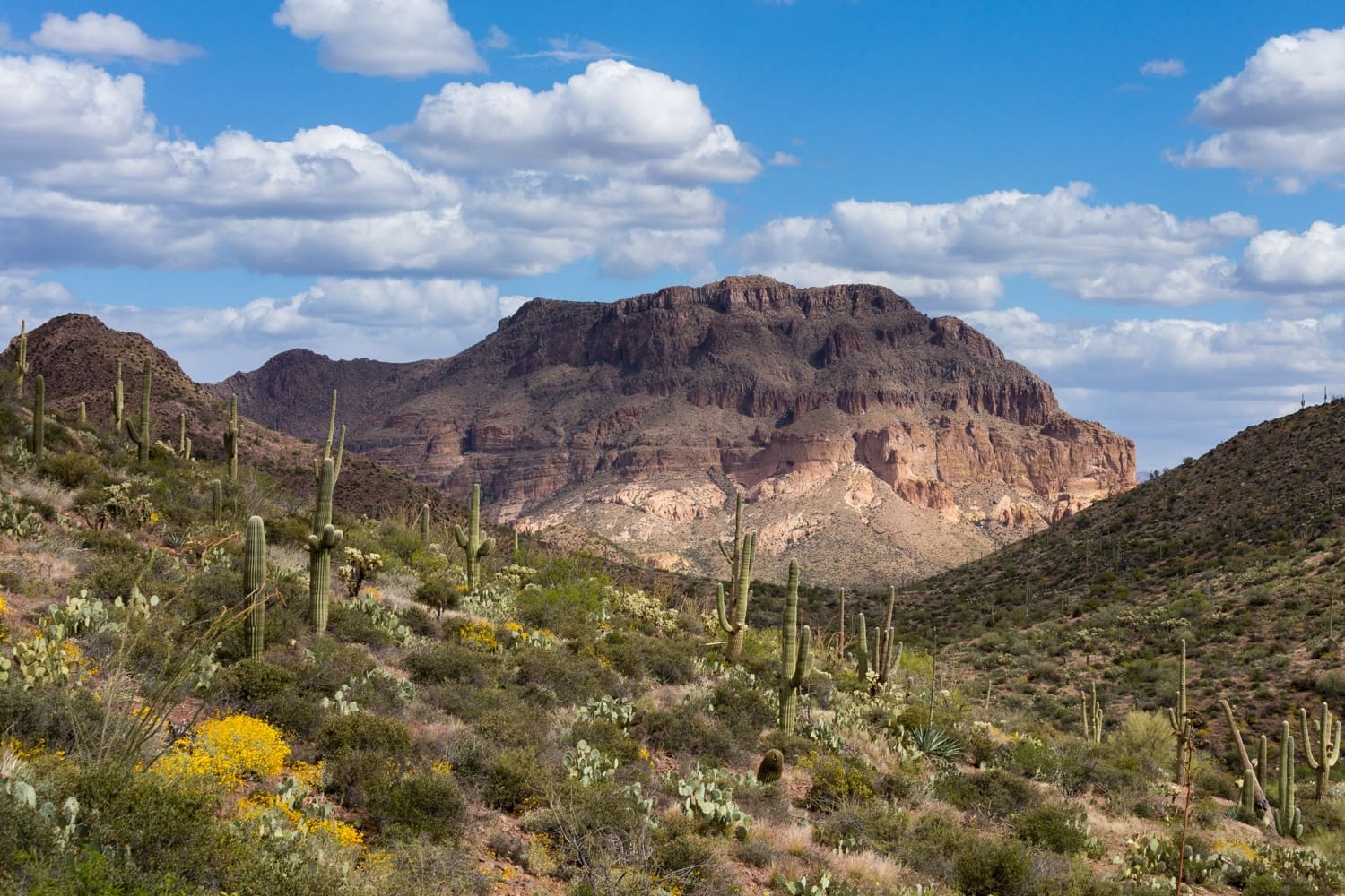 Mysteries-Of-Oracle-Arizona8217s-Desert-Paths mysteries-of-oracle-arizonas-desert-paths