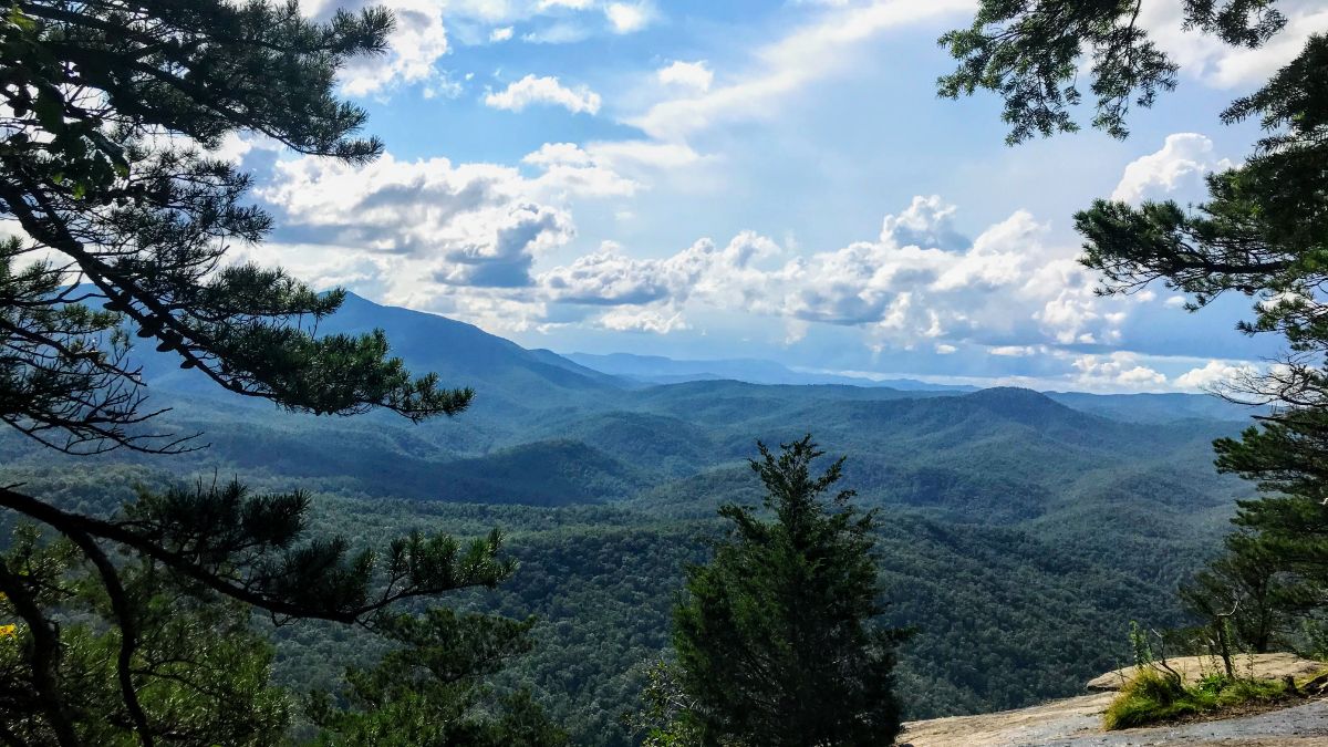 mysteries-of-pisgahs-forest-trails