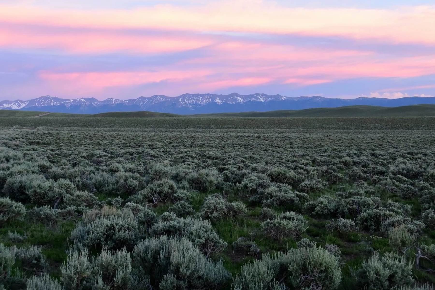 Mysteries-Of-Silent-Sagebrush-Seas-In-Oregon8217s-High-Desert mysteries-of-silent-sagebrush-seas-in-oregons-high-desert