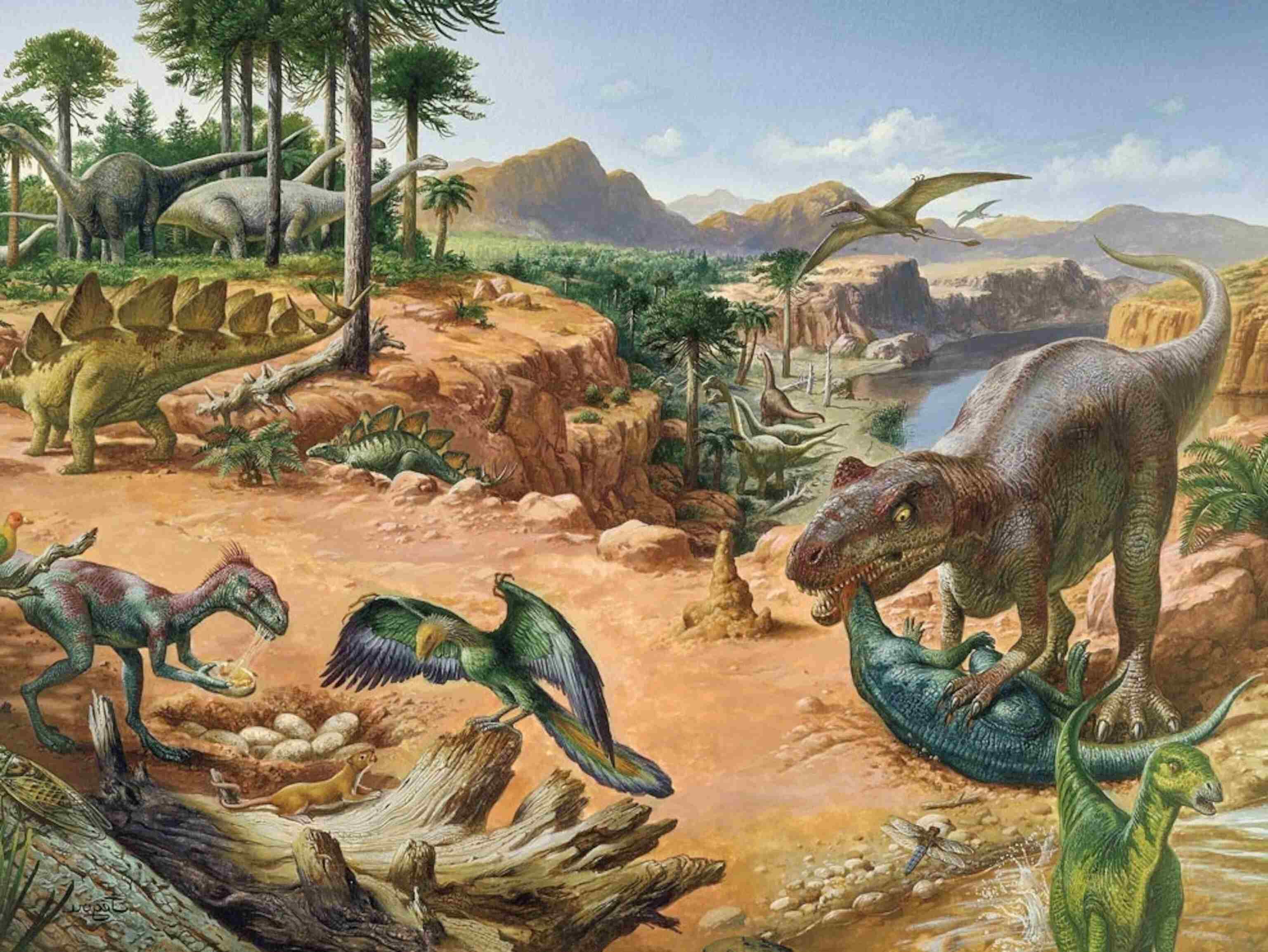 Mysteries-Of-The-Jurassic-Fiddlehead-Forests mysteries-of-the-jurassic-fiddlehead-forests