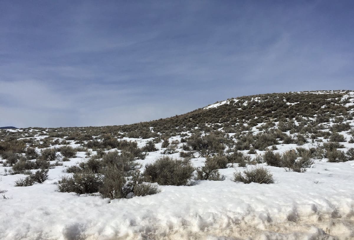 Mysteries-Of-The-Silent-Sagebrush-Seas mysteries-of-the-silent-sagebrush-seas