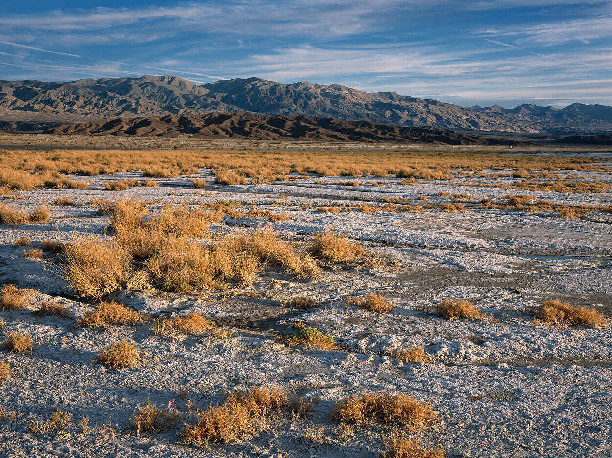 Mysteries-Of-The-Silent-Saltgrass-Steppes mysteries-of-the-silent-saltgrass-steppes