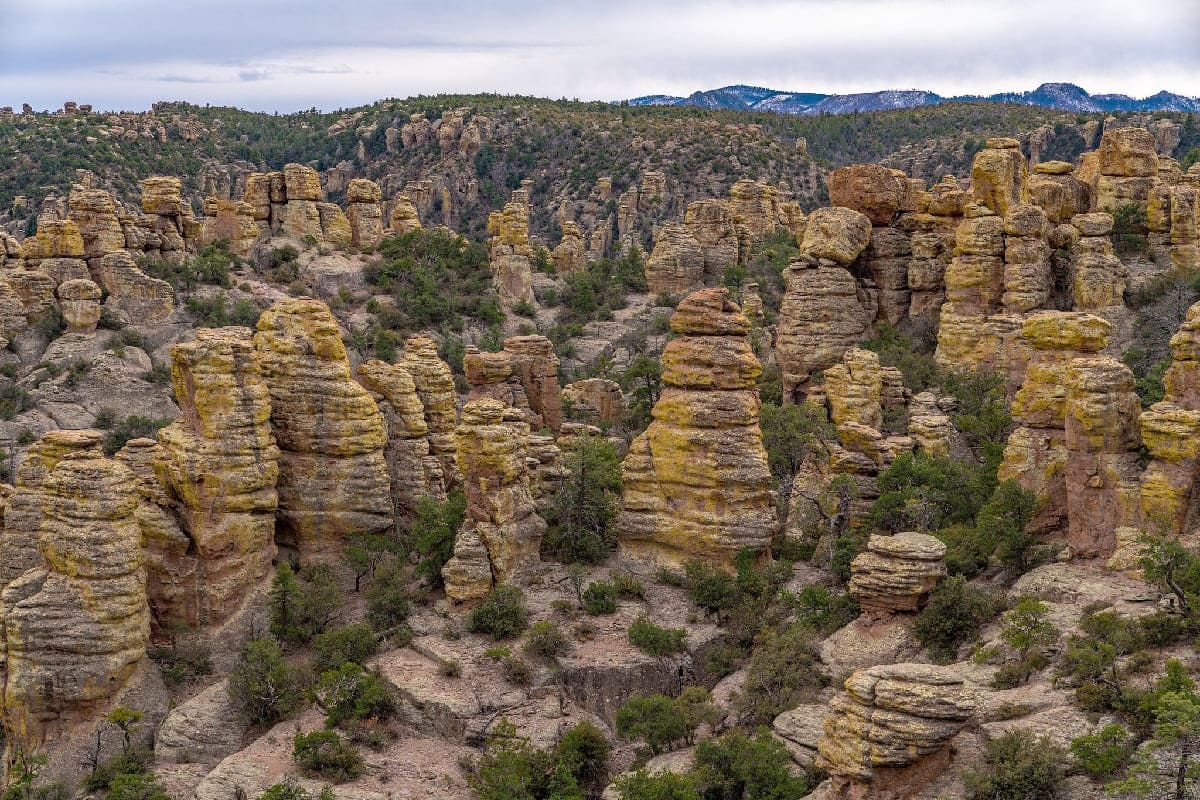 Mysteries-Of-The-Silent-Stone-Forest-Labyrinths-In-Chiricahua-National-Monument mysteries-of-the-silent-stone-forest-labyrinths-in-chiricahua-national-monument