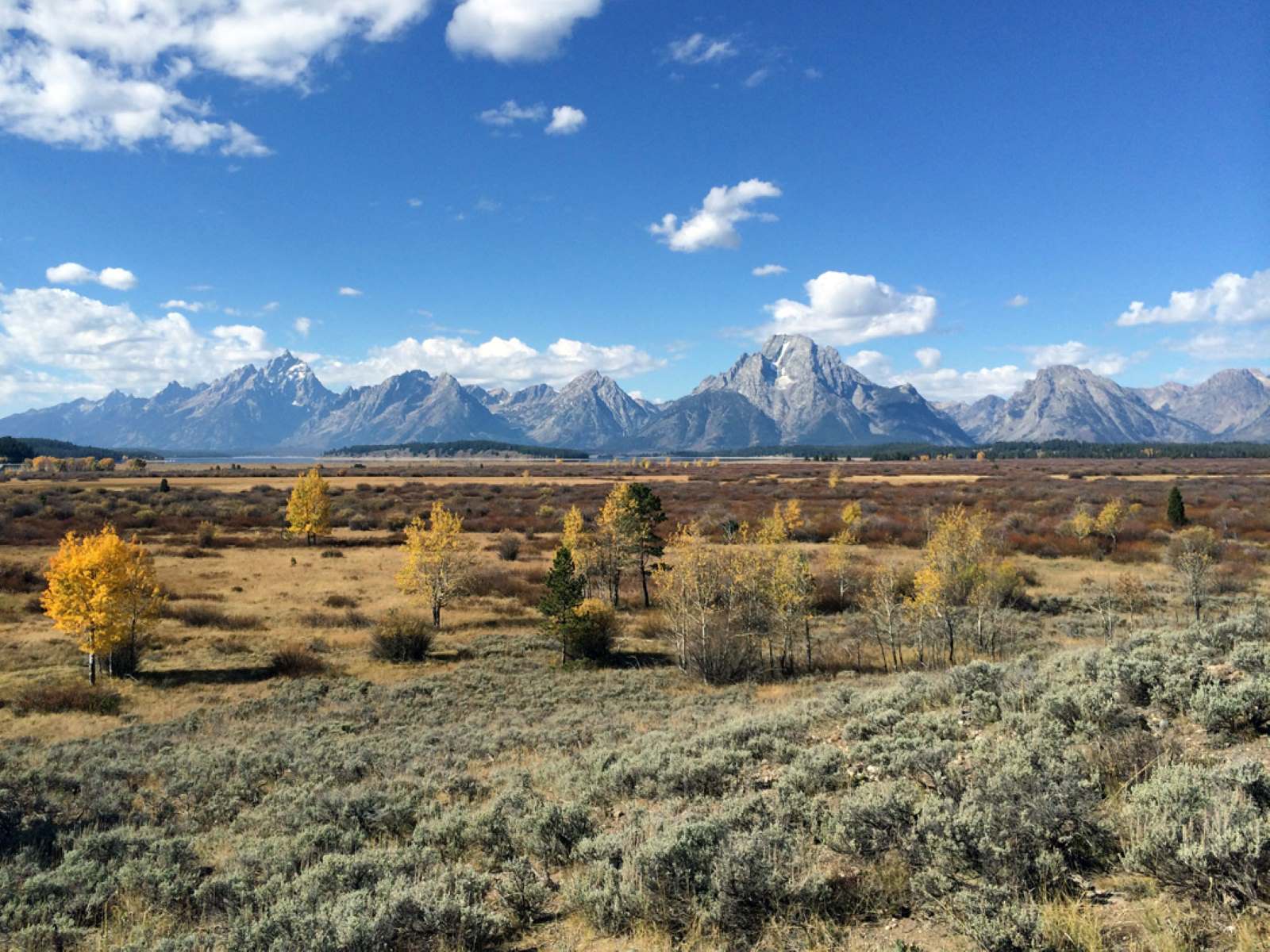 Mysteries-Of-Whispering-Willow-Flats-In-Custer-State-Park mysteries-of-whispering-willow-flats-in-custer-state-park