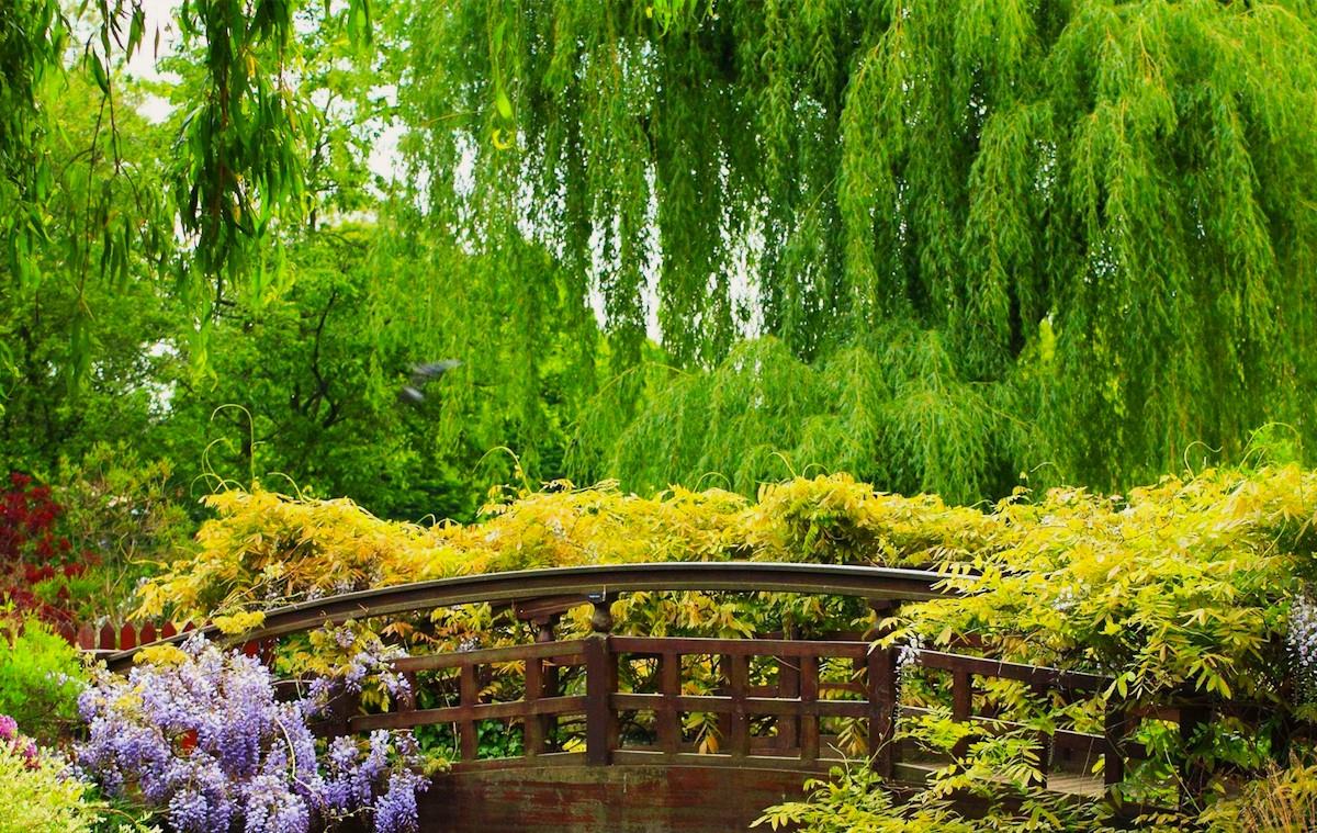 Mysteries-Of-Whispering-Willow-Groves mysteries-of-whispering-willow-groves