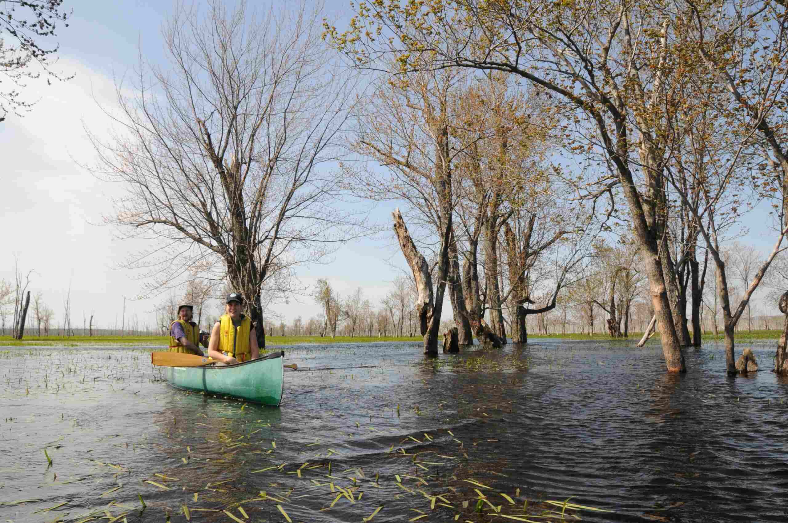 Mysteries-Of-Whispering-Willow-Wetlands mysteries-of-whispering-willow-wetlands