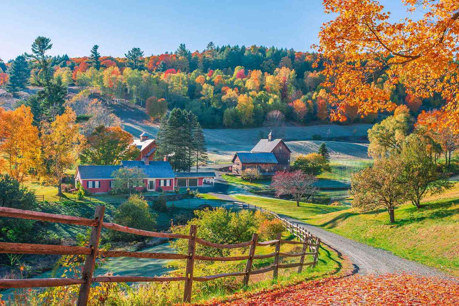 Mysteries-Of-Woodstock-Vermont-Forests mysteries-of-woodstock-vermont-forests