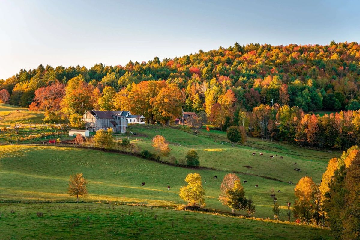 mysteries-of-woodstock-vermonts-forest-paths