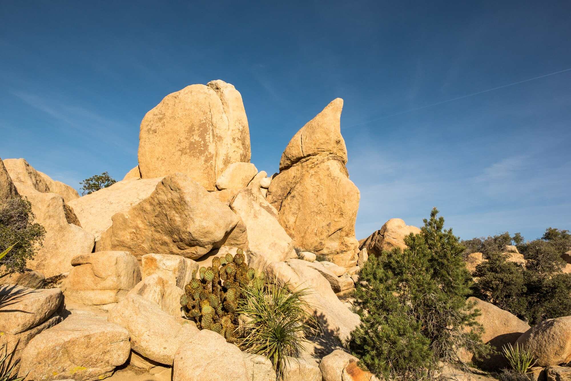 Mysterious-Granite-Boulders-Of-Joshua-Tree-National-Park mysterious-granite-boulders-of-joshua-tree-national-park