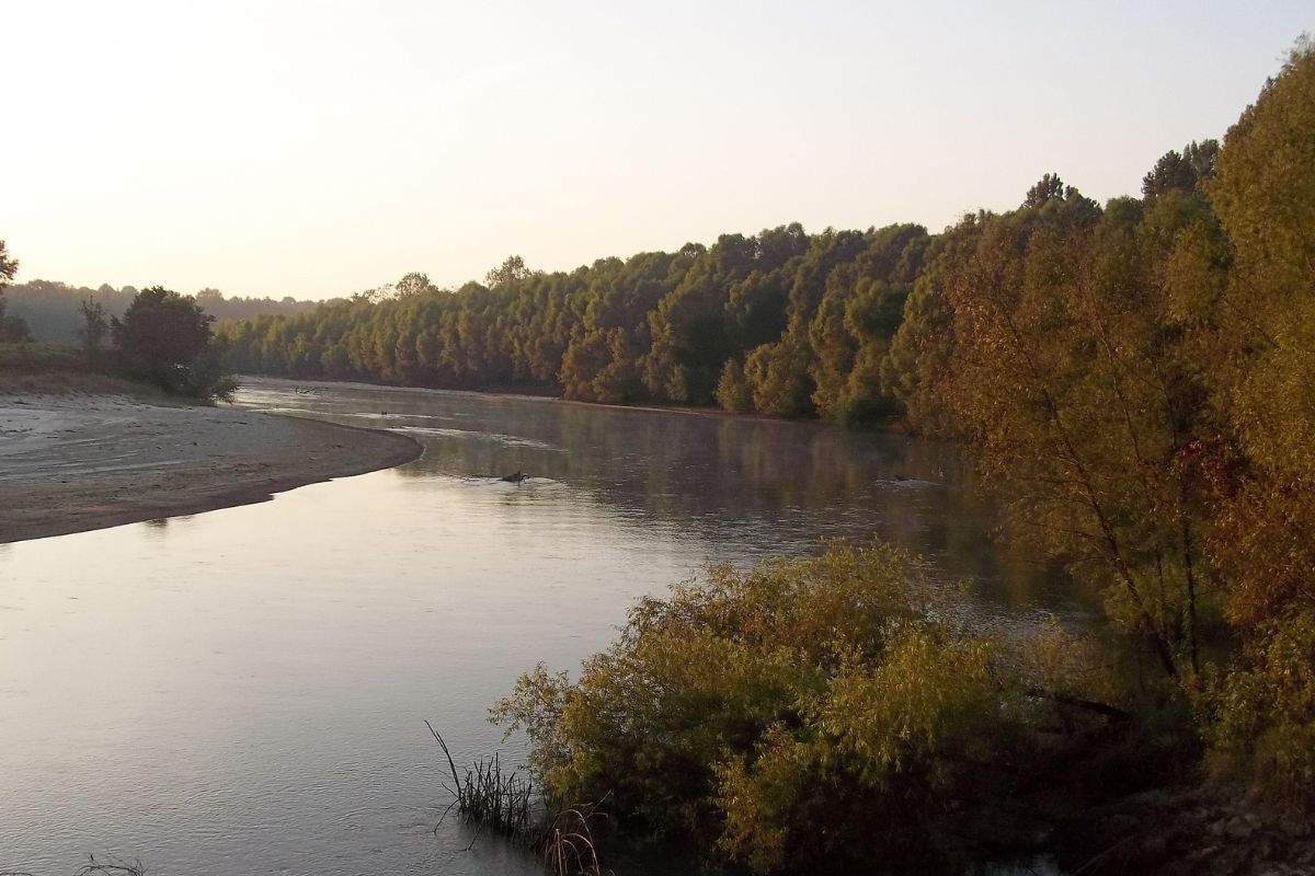 Mysterious-Humming-Waters-Of-Mississippi8217s-Singing-River mysterious-humming-waters-of-mississippis-singing-river