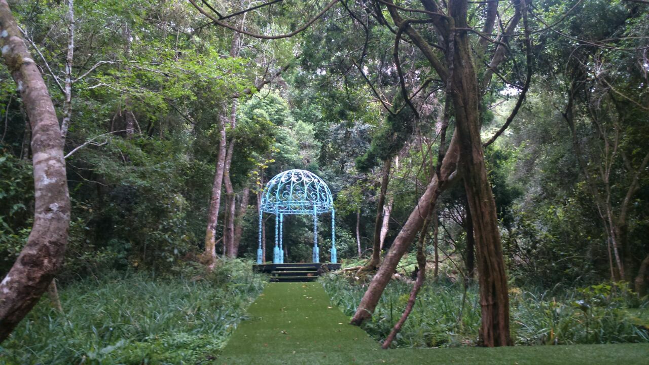 Mysterious-Mazes-Of-The-Phantom-Forest mysterious-mazes-of-the-phantom-forest