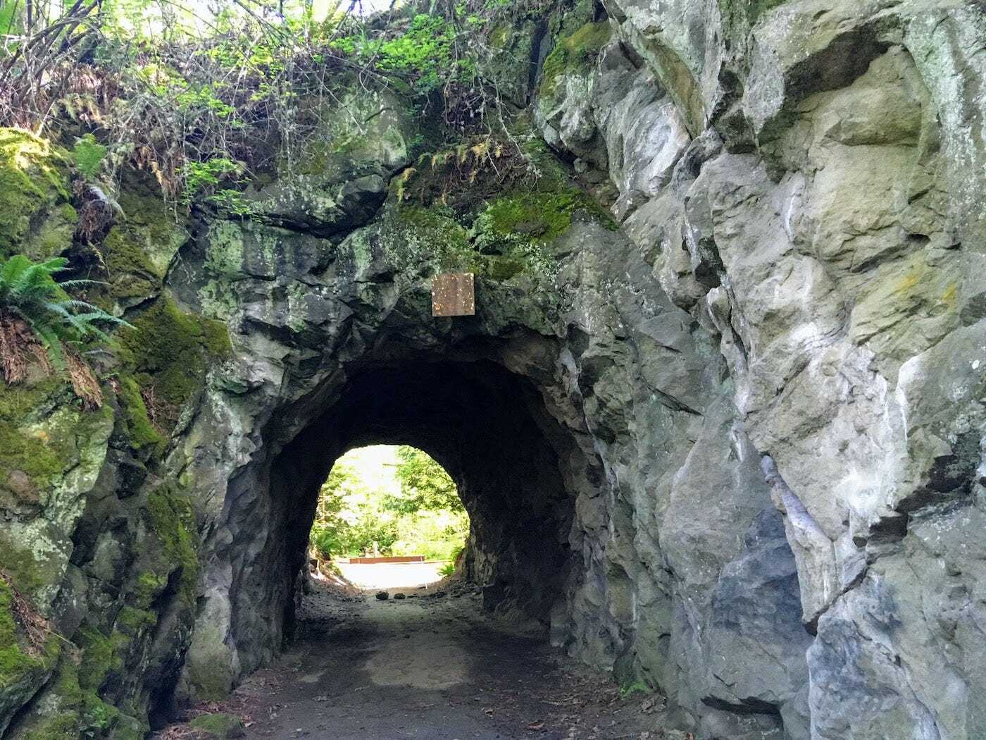 Mysterious-Moss-Tunnels-Of-The-Pacific-Northwest mysterious-moss-tunnels-of-the-pacific-northwest