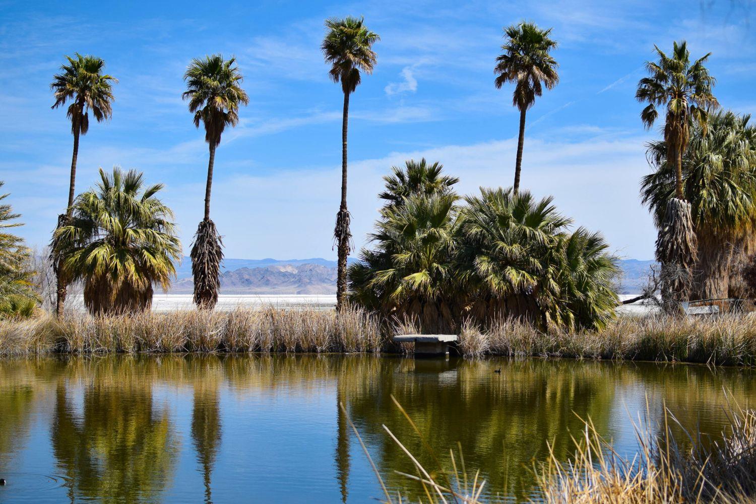 mysterious-paths-of-zzyzx-california