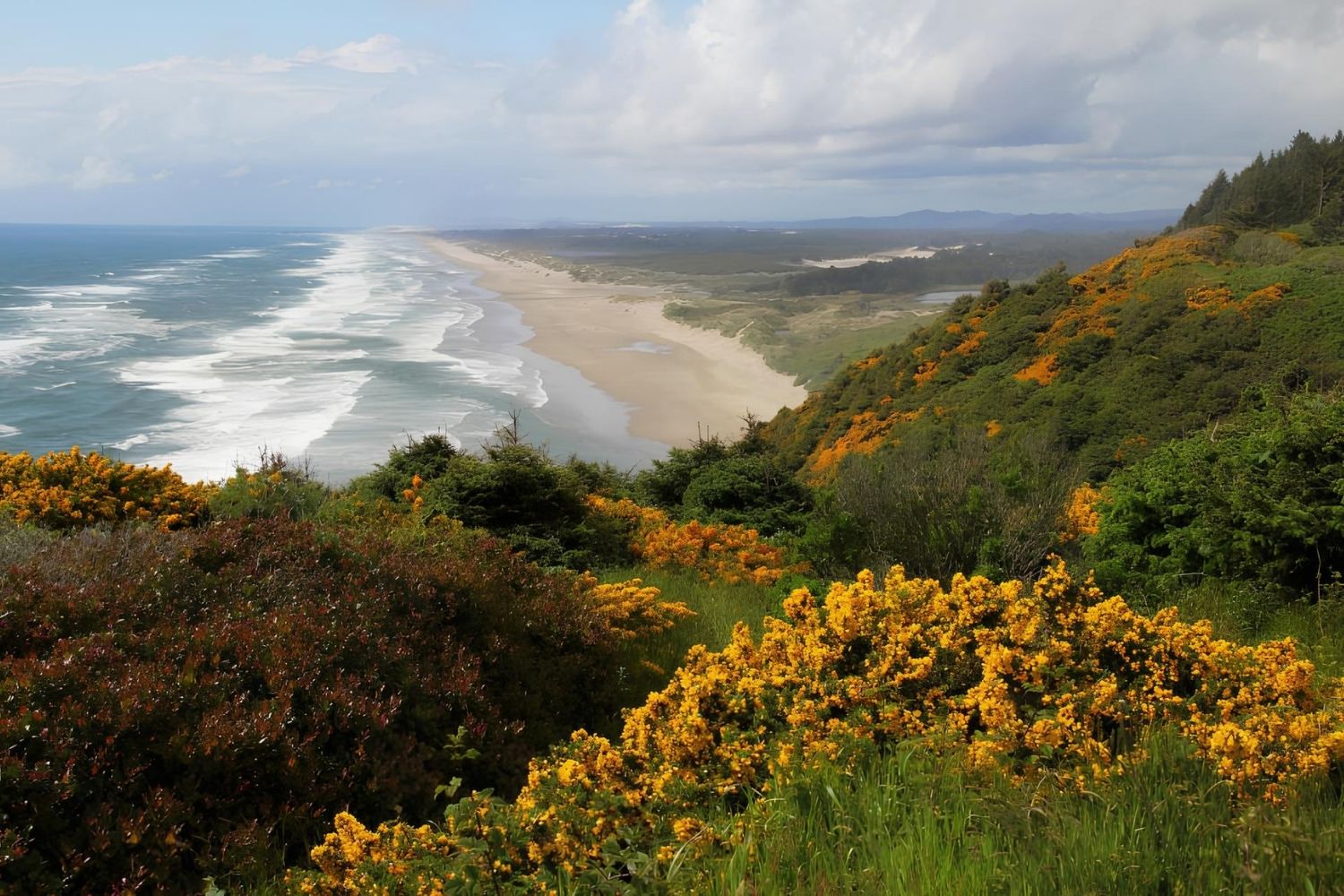 mysterious-routes-of-florence-oregons-ocean