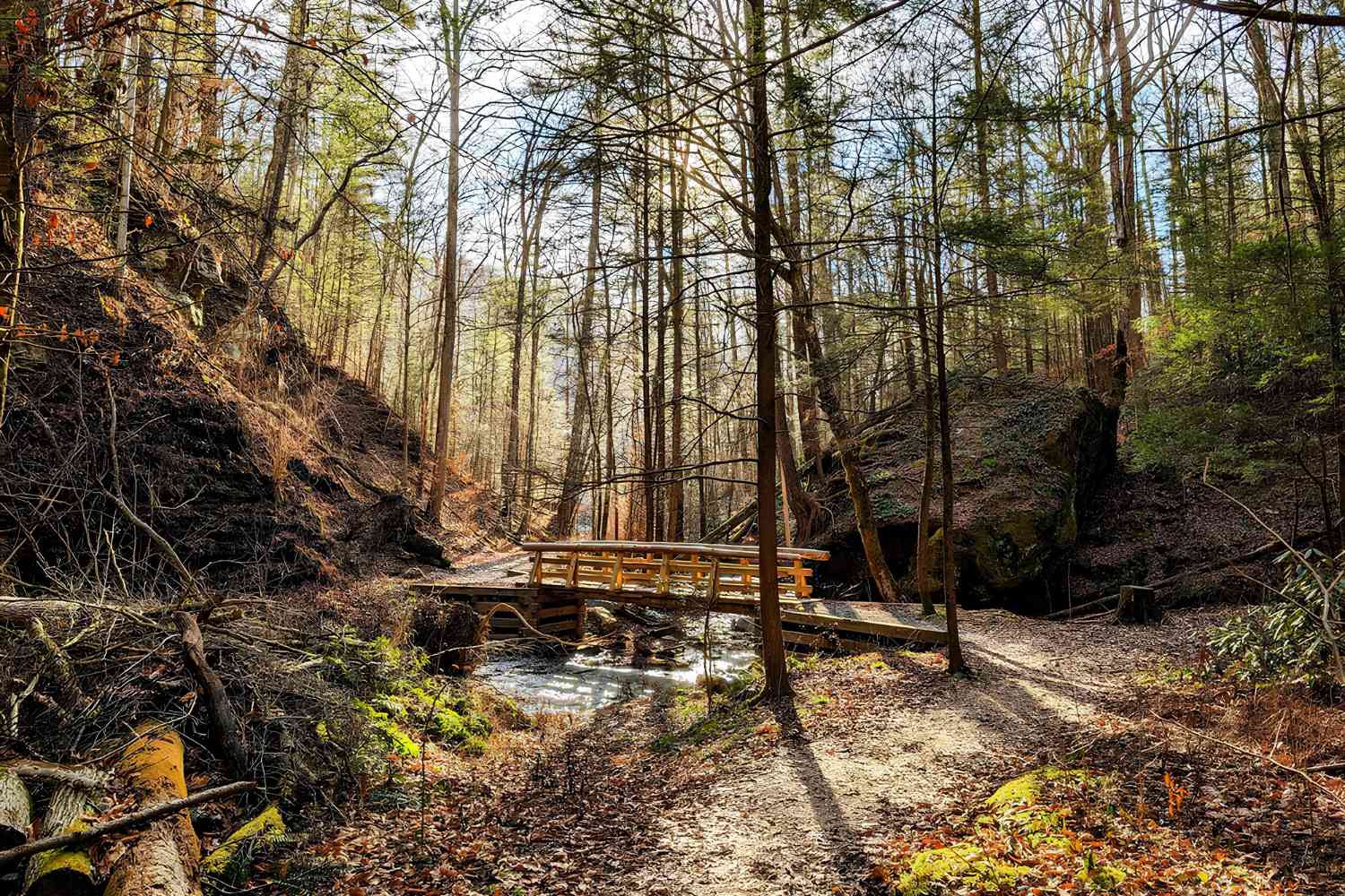 mysterious-trails-in-daniel-boones-kentucky-forest