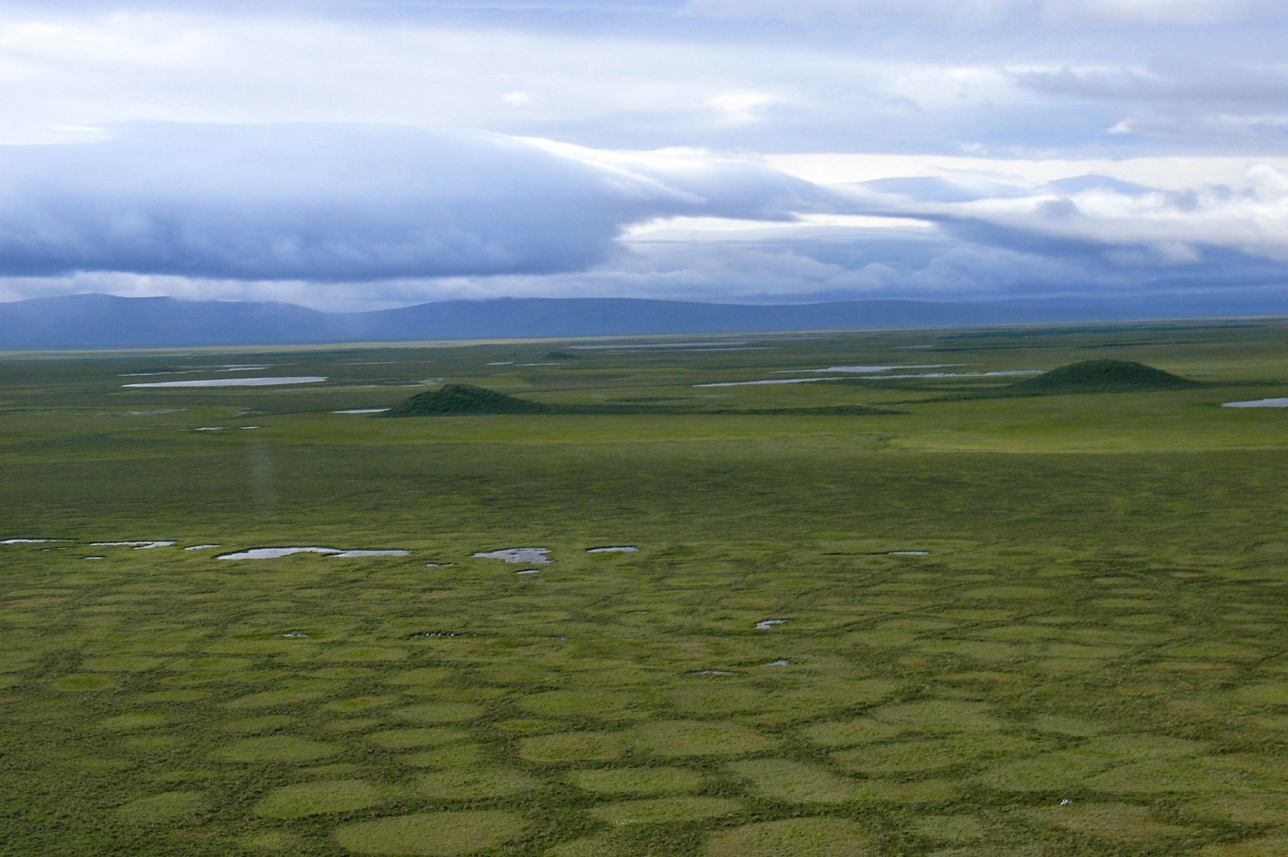 Mystery-Of-Alaska8217s-Arctic-Frost-Polygon-Fields mystery-of-alaskas-arctic-frost-polygon-fields