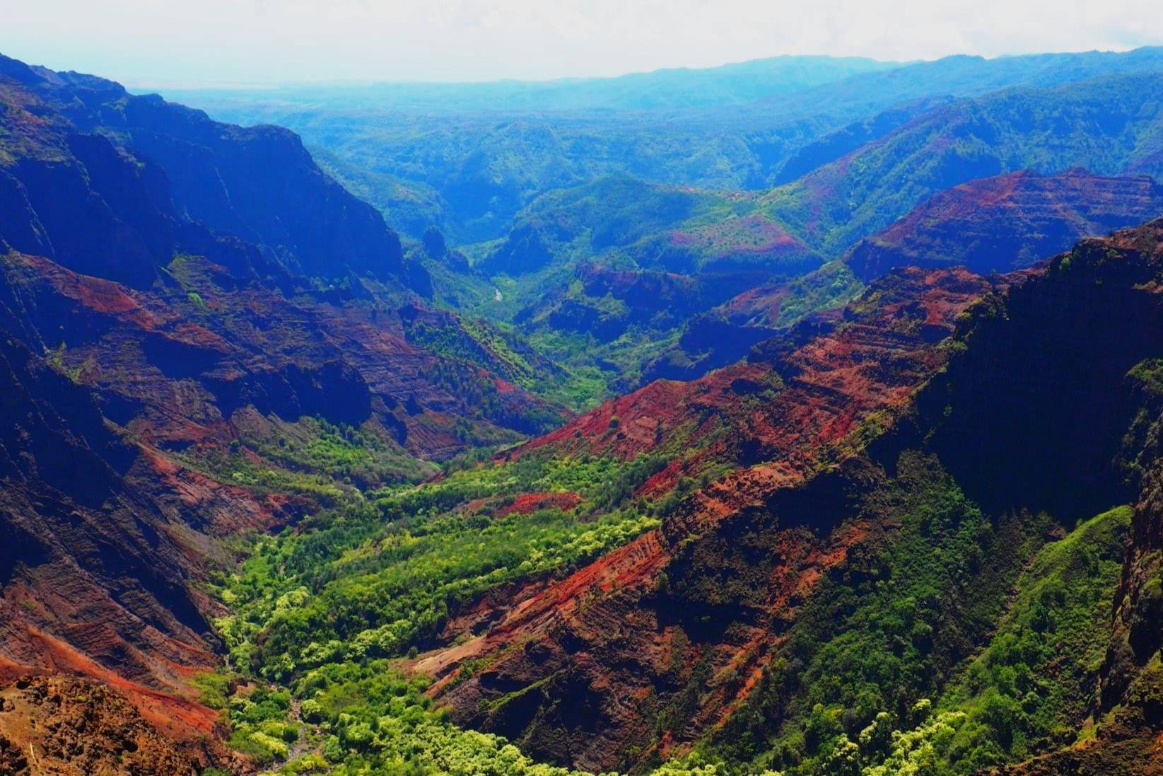 Mystery-Of-Hawaii8217s-Fogbow-Forest-In-Waimea-Canyon mystery-of-hawaiis-fogbow-forest-in-waimea-canyon