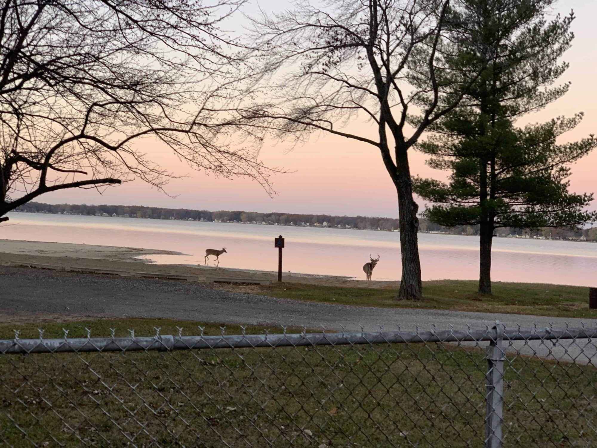 mystery-of-indianas-singing-sands-at-bass-lake