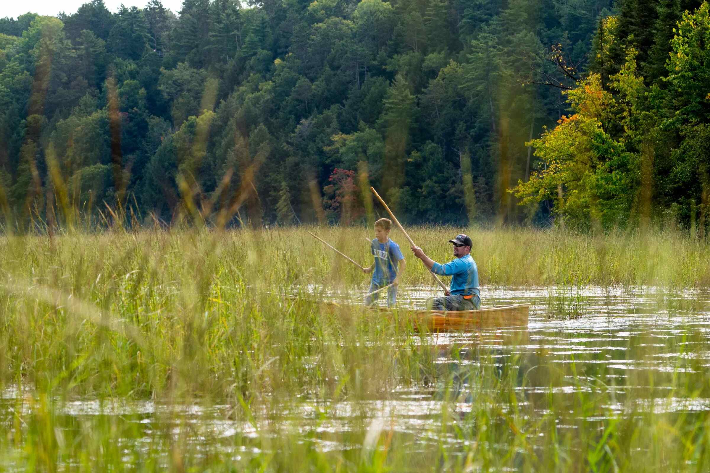 mystery-of-michigans-wild-rice-bay-waters