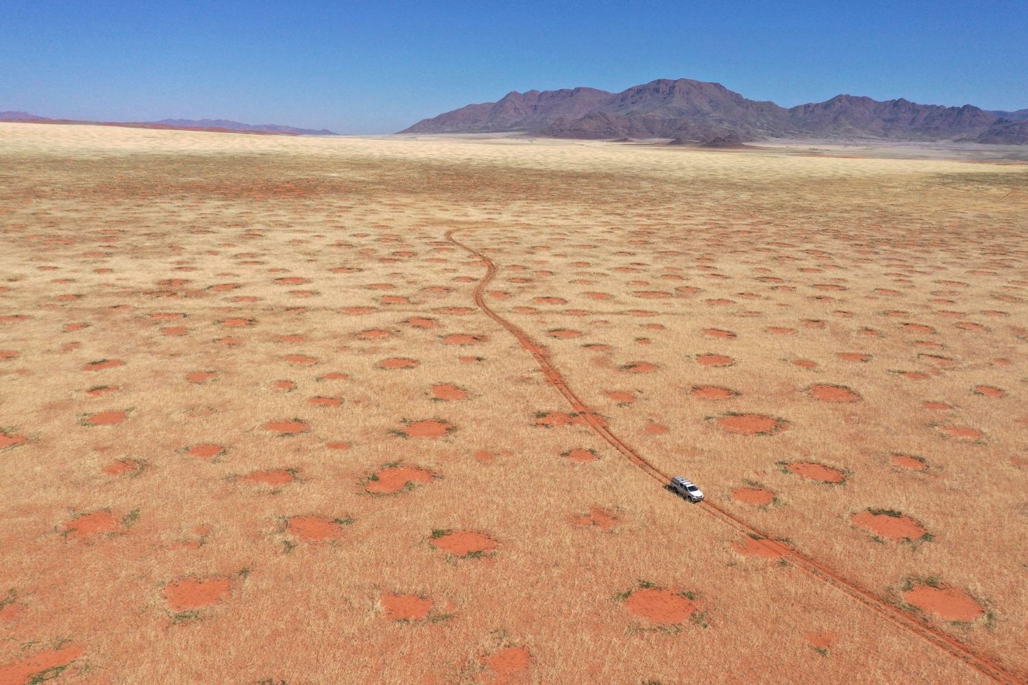 Mystery-Of-Namibia8217s-Secret-Fairy-Circles mystery-of-namibias-secret-fairy-circles