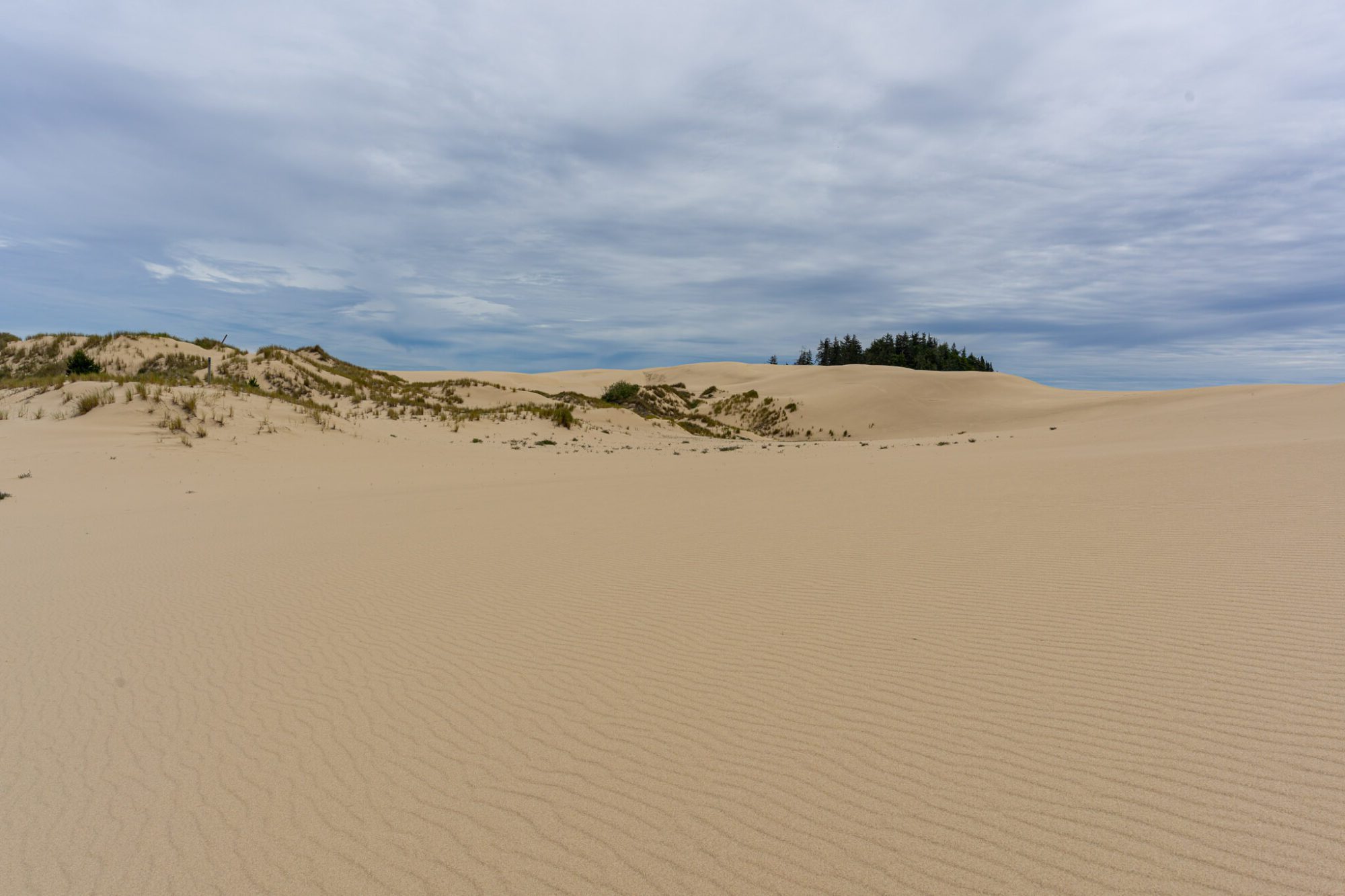 Mystery-Of-Oregon8217s-Singing-Dunes mystery-of-oregons-singing-dunes