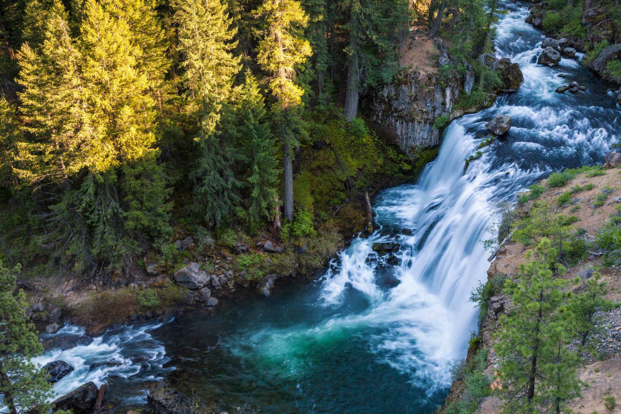 Mystery-Of-Shasta-Cascade8217s-Whispering-Waterfall-Curtains mystery-of-shasta-cascades-whispering-waterfall-curtains