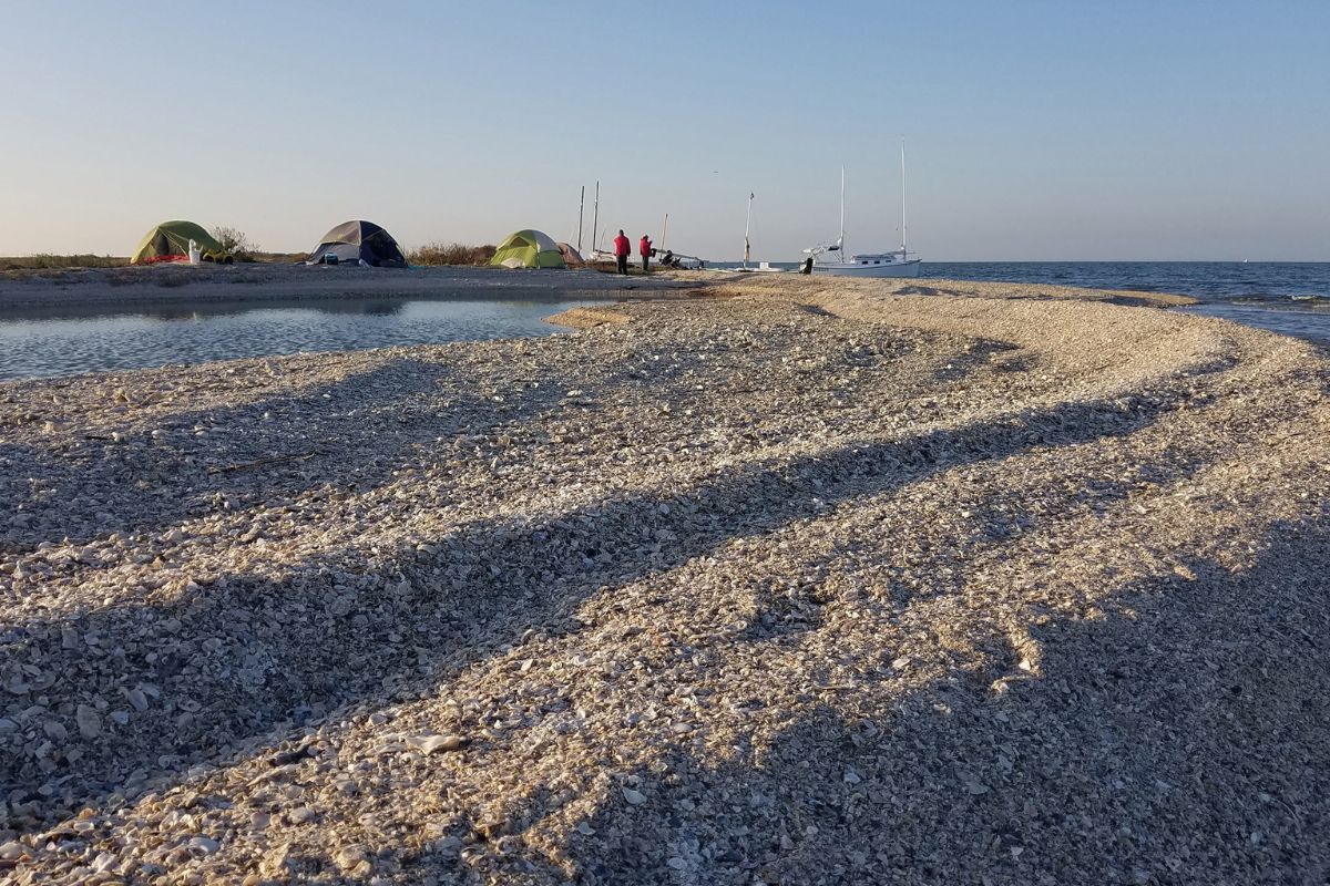 mystery-of-the-silent-saltwort-shores