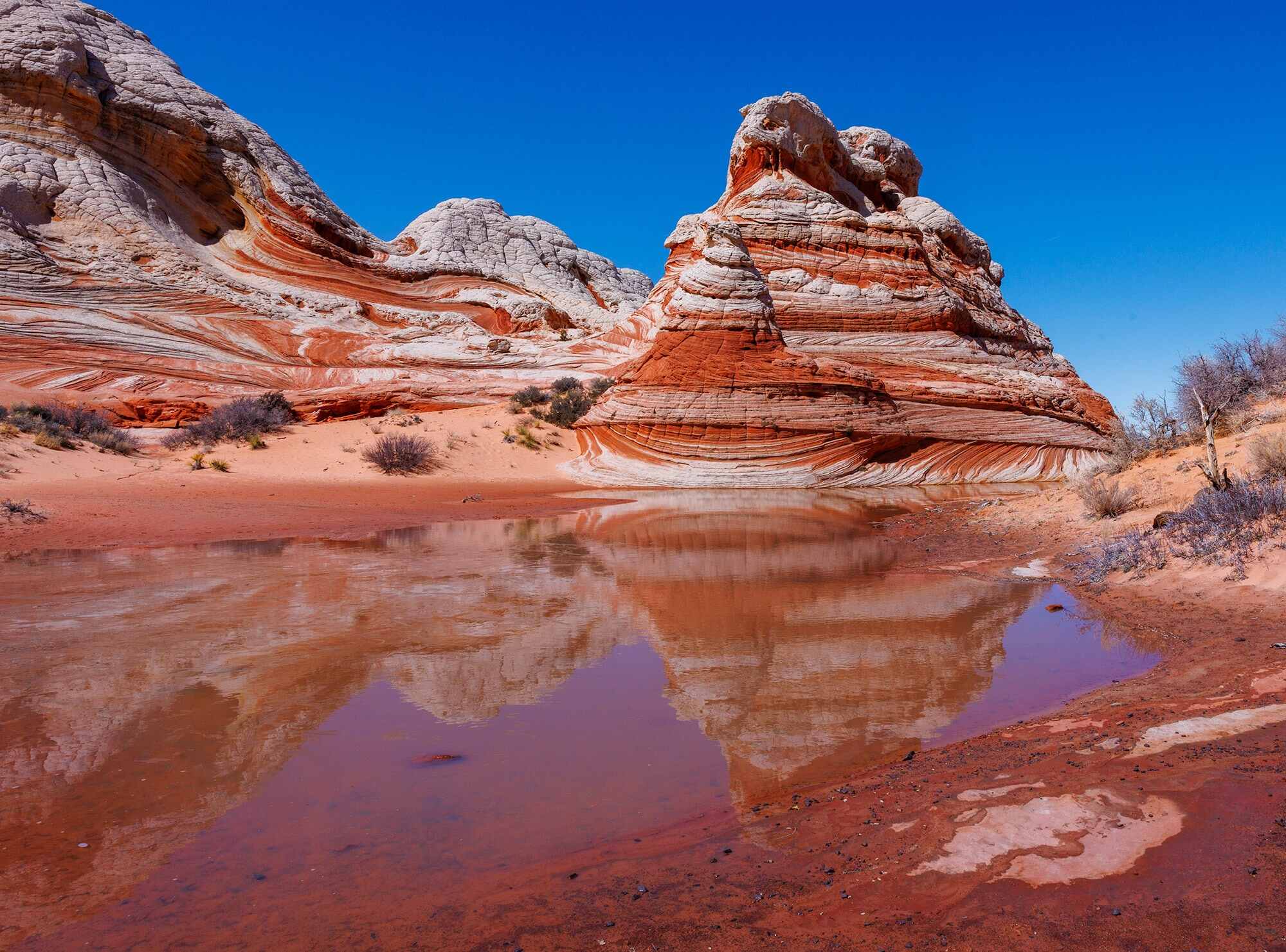 Mystery-Sandstone-Swirls-Of-The-Wind-Worn-Wilderness mystery-sandstone-swirls-of-the-wind-worn-wilderness