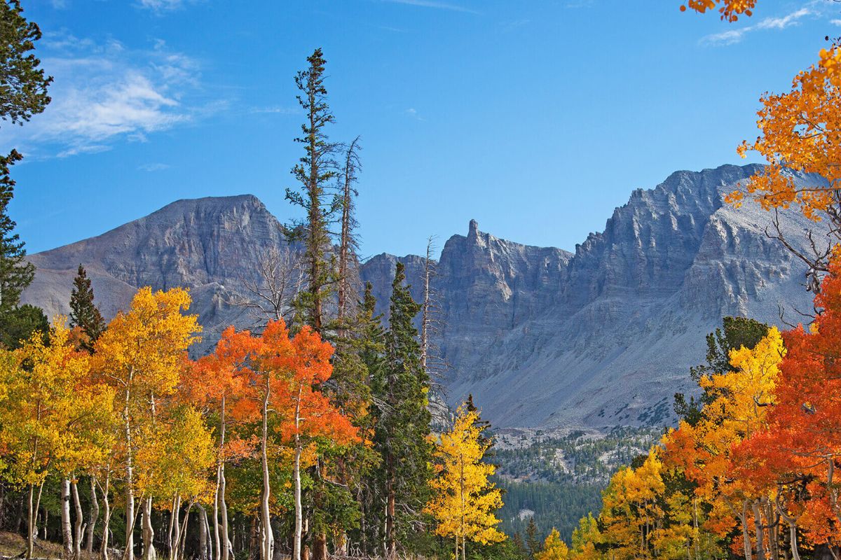 Nevada8217s-Secret-Wonders-Of-Great-Basin-National-Park nevadas-secret-wonders-of-great-basin-national-park