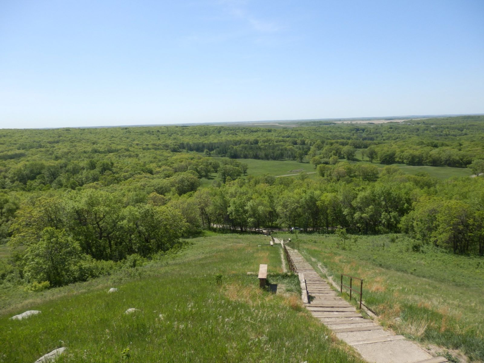 north-dakotas-secret-sullys-hill-adventure-and-bison-sighting