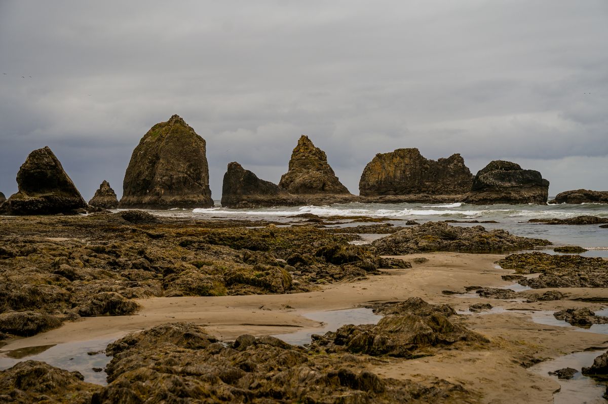 oceanside-oregons-hidden-coastal-paths