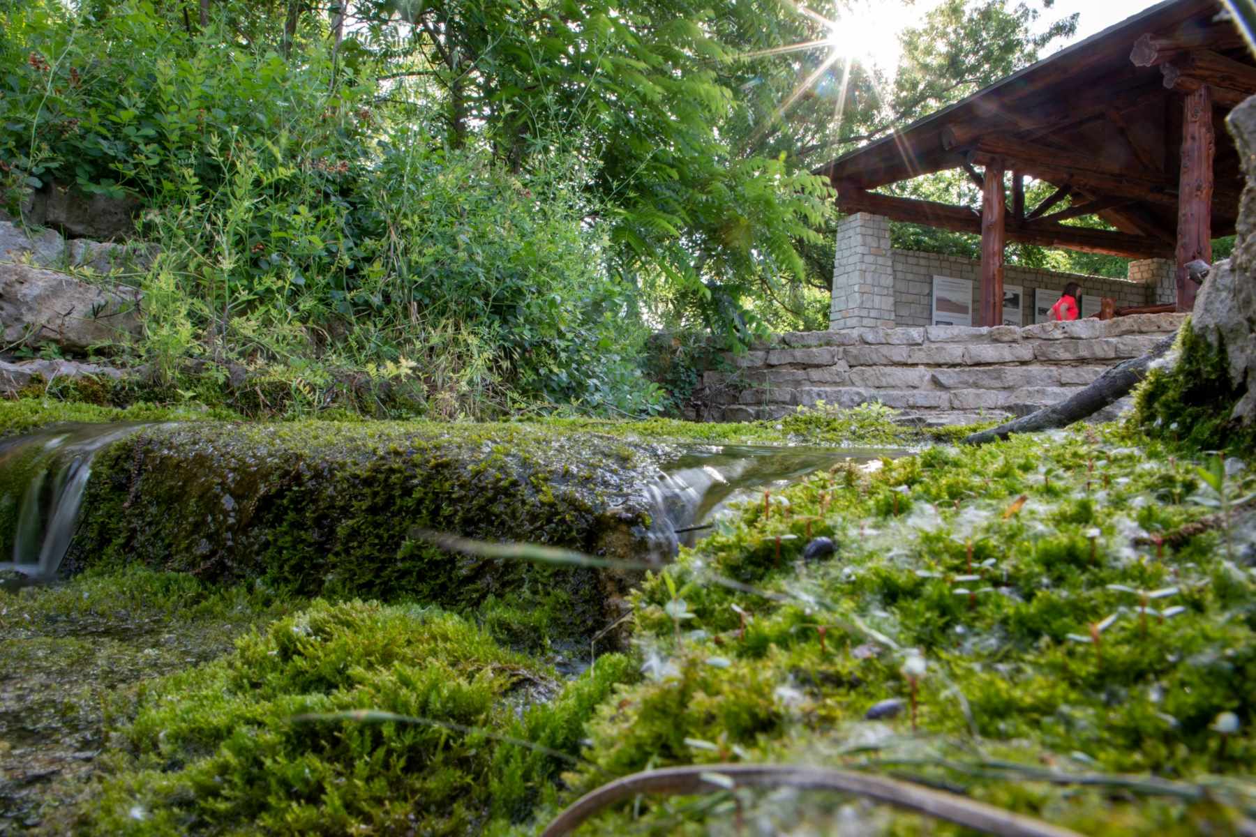 Oklahoma8217s-Secret-Boiling-Springs-Park-Mystery oklahomas-secret-boiling-springs-park-mystery