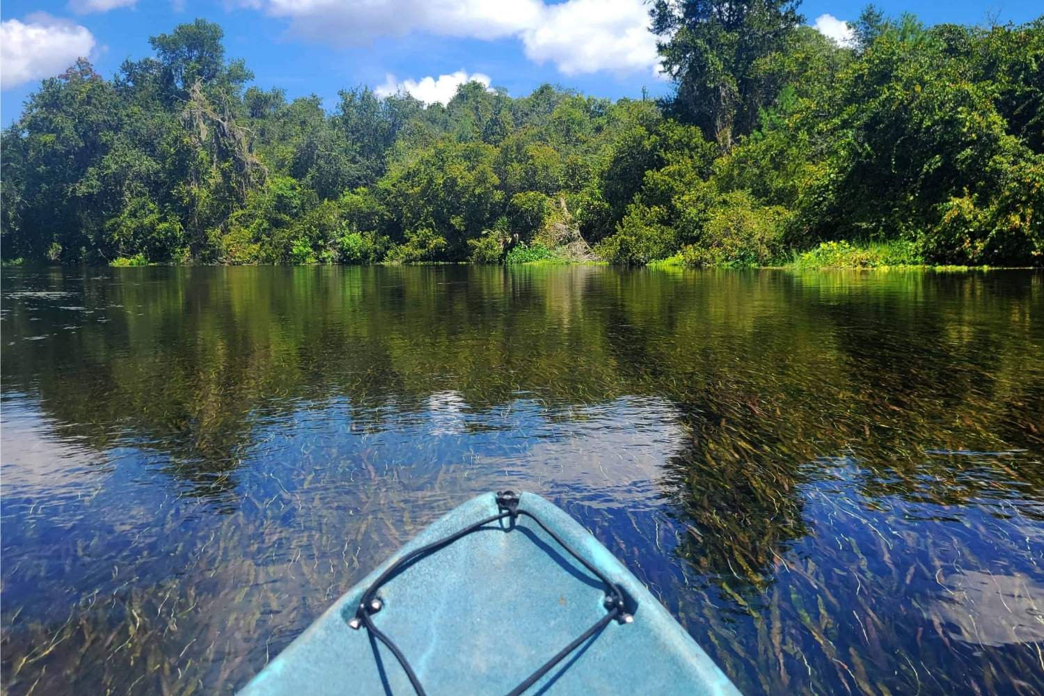 Paddle-Through-Paradise-At-Weeki-Wachee-Springs paddle-through-paradise-at-weeki-wachee-springs