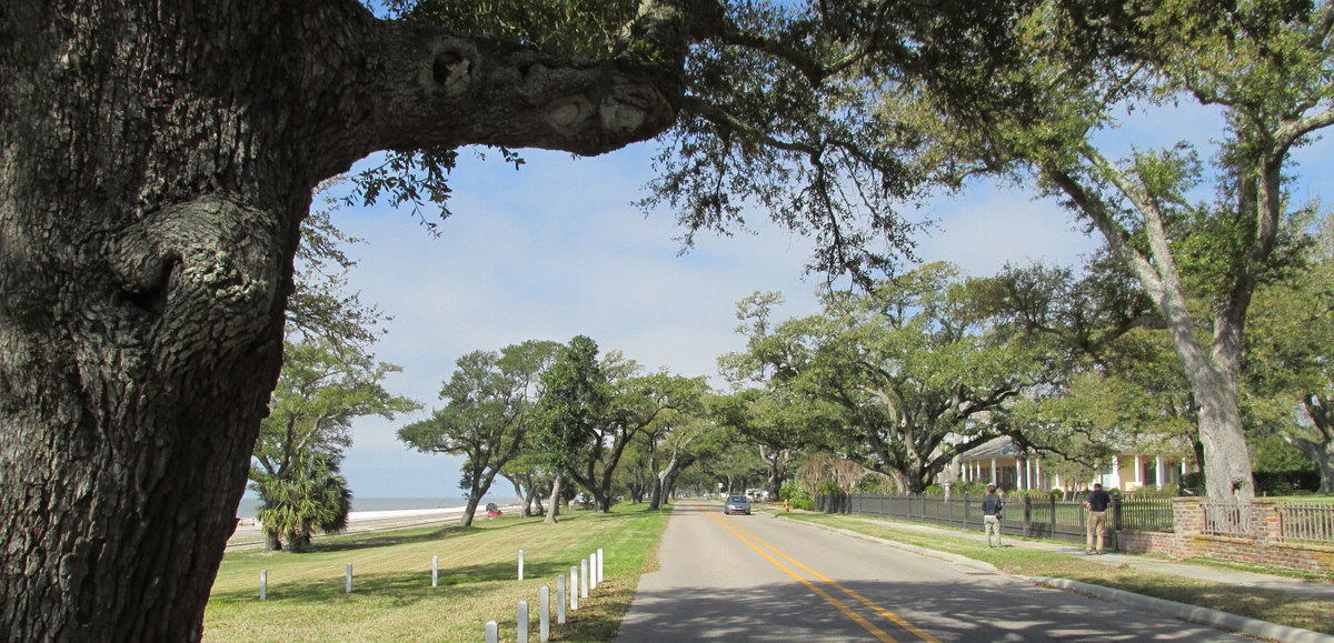 pass-christians-stunning-coastal-drive