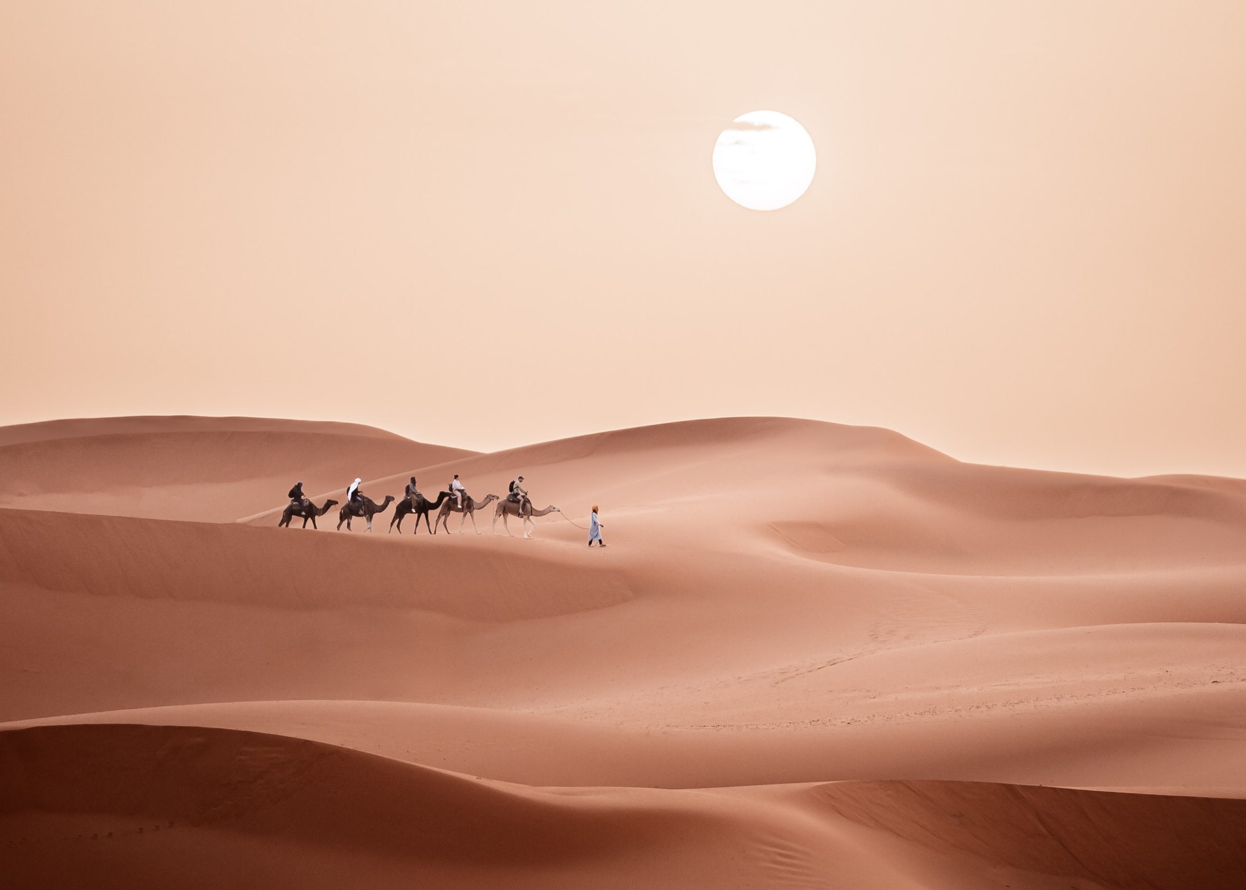 sahara-vibes-at-great-sand-dunes