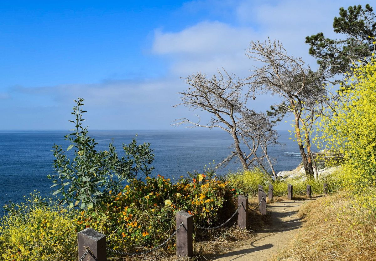 San-Diego8217s-Secret-Shoreline-Trail san-diegos-secret-shoreline-trail