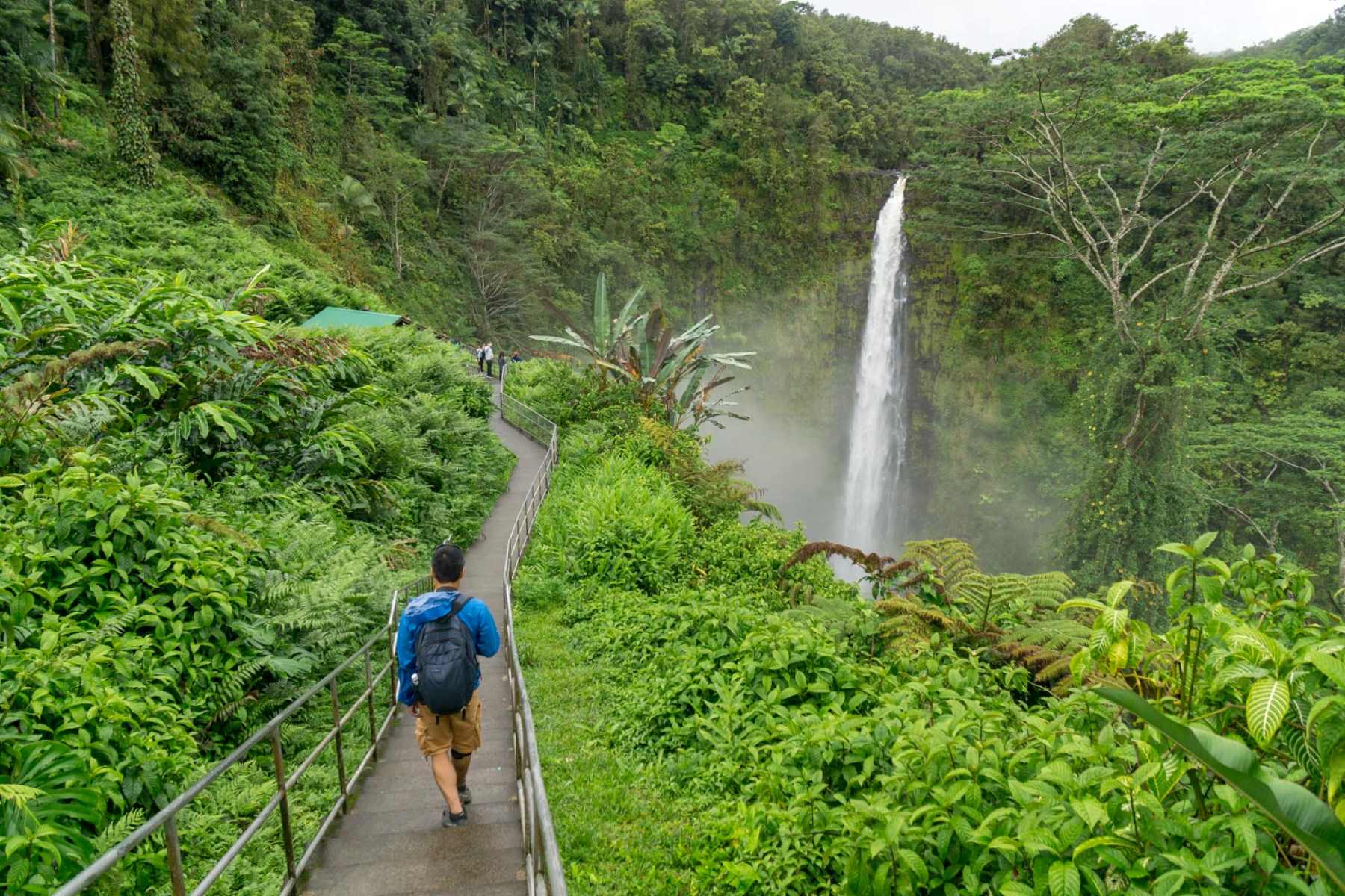 secret-hanging-fern-walls-of-hawaiis-akaka-falls-state-park