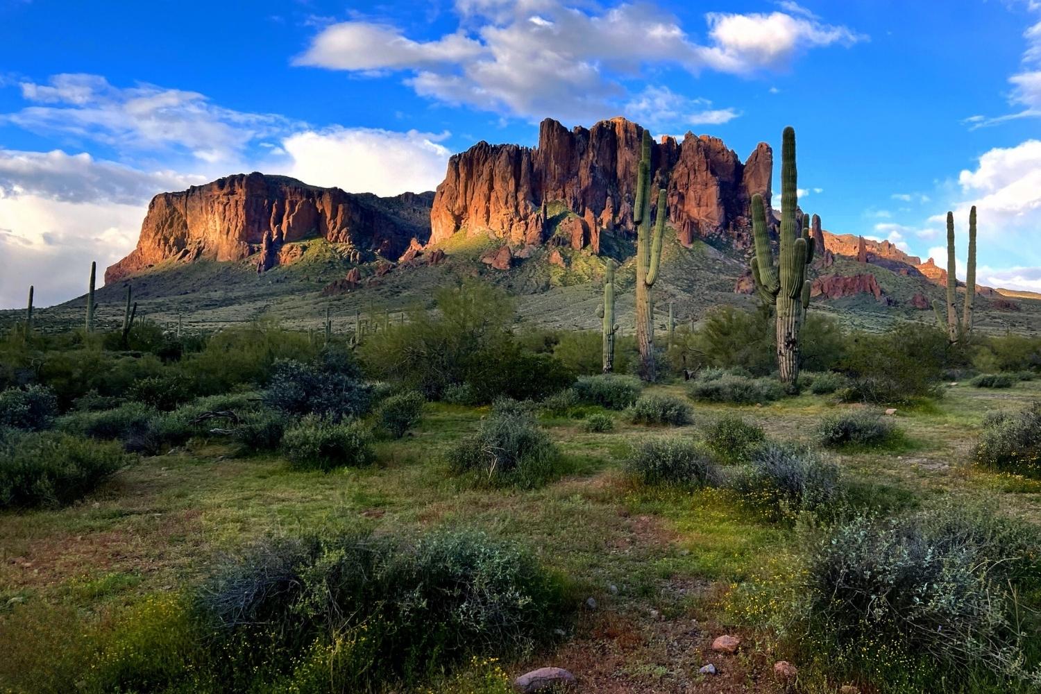 Secret-Hanging-Gardens-In-Arizona8217s-Superstition-Mountains secret-hanging-gardens-in-arizonas-superstition-mountains