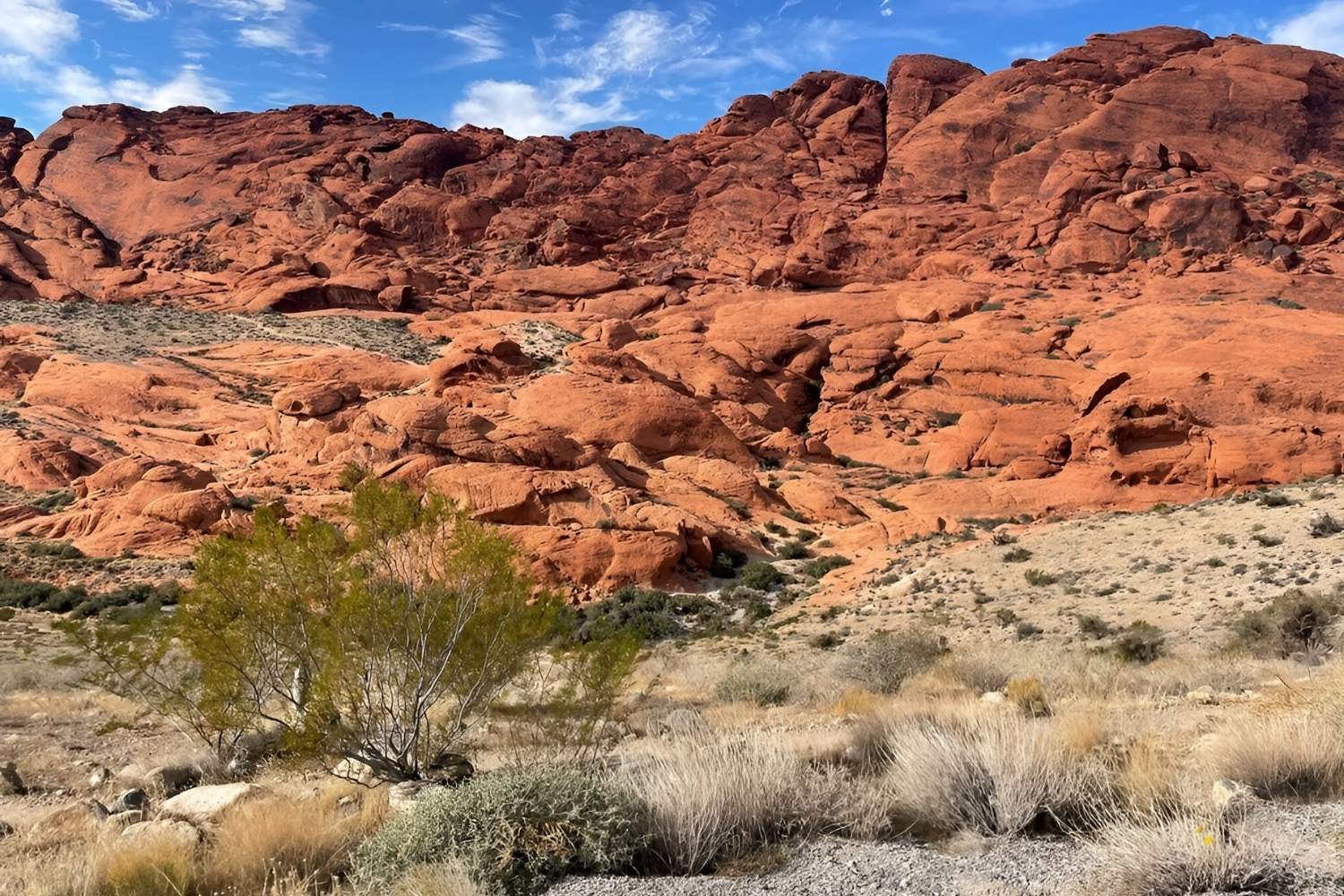 secret-hanging-gardens-in-nevadas-red-rock-canyon