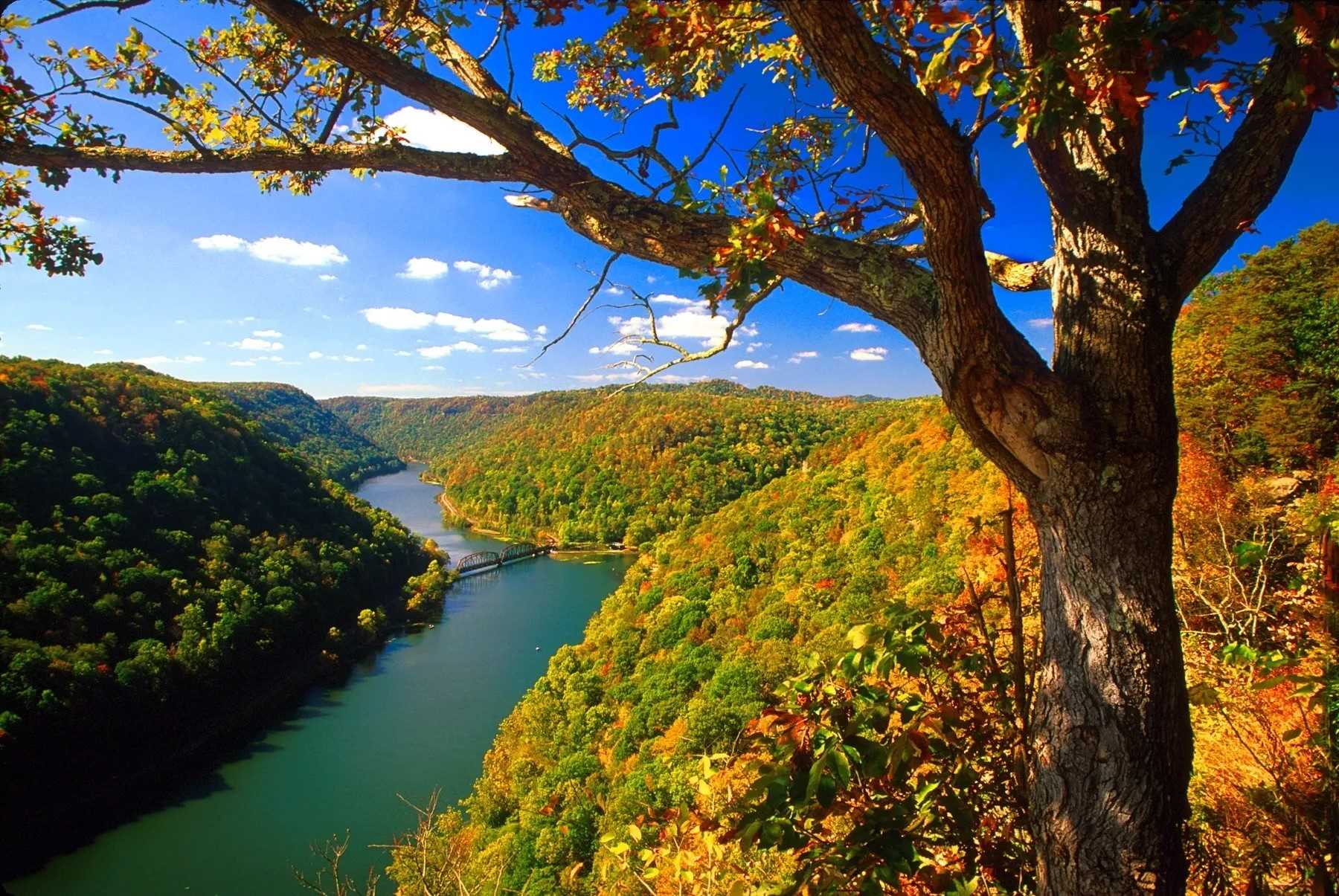 Secret-Hawk8217s-Nest-Views-Of-West-Virginia8217s-New-River-Gorge secret-hawks-nest-views-of-west-virginias-new-river-gorge