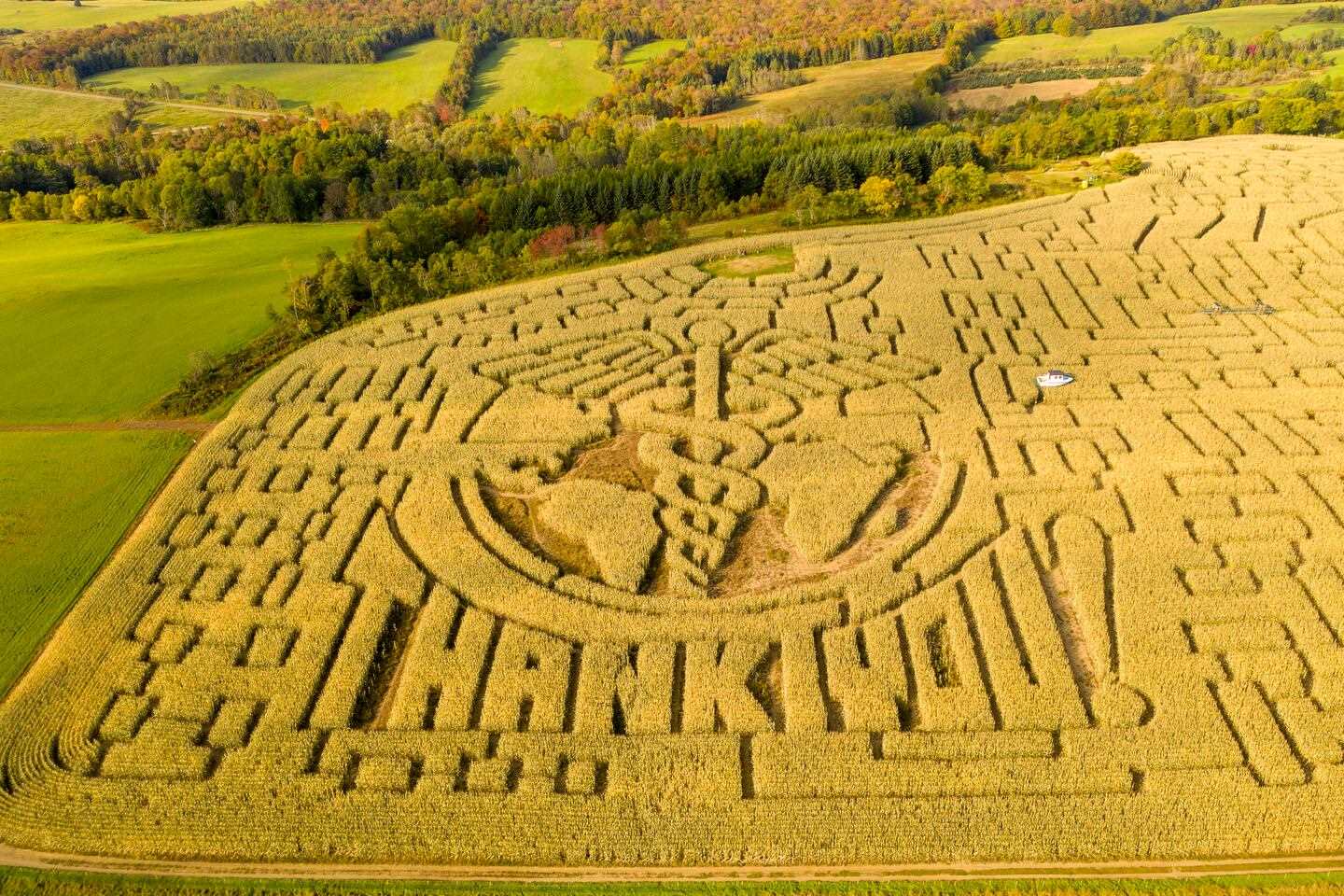 secret-hedge-mazes-of-new-englands-historic-estates