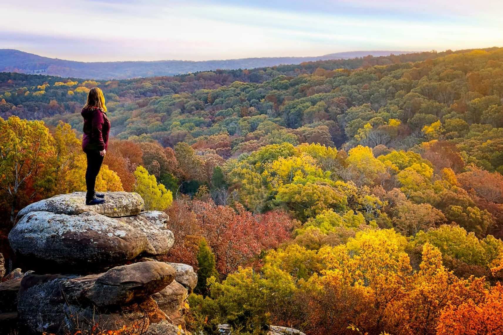 Secret-Honey-Locust-Groves-In-Illinois8217-Shawnee-Forest secret-honey-locust-groves-in-illinois-shawnee-forest