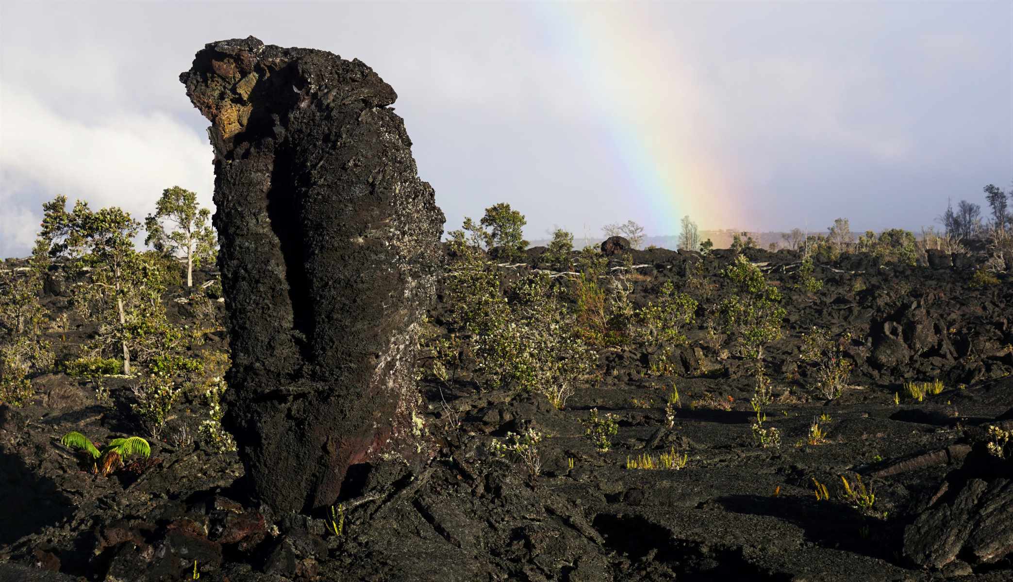 secret-lava-trees-of-hawaii-volcanoes-national-park