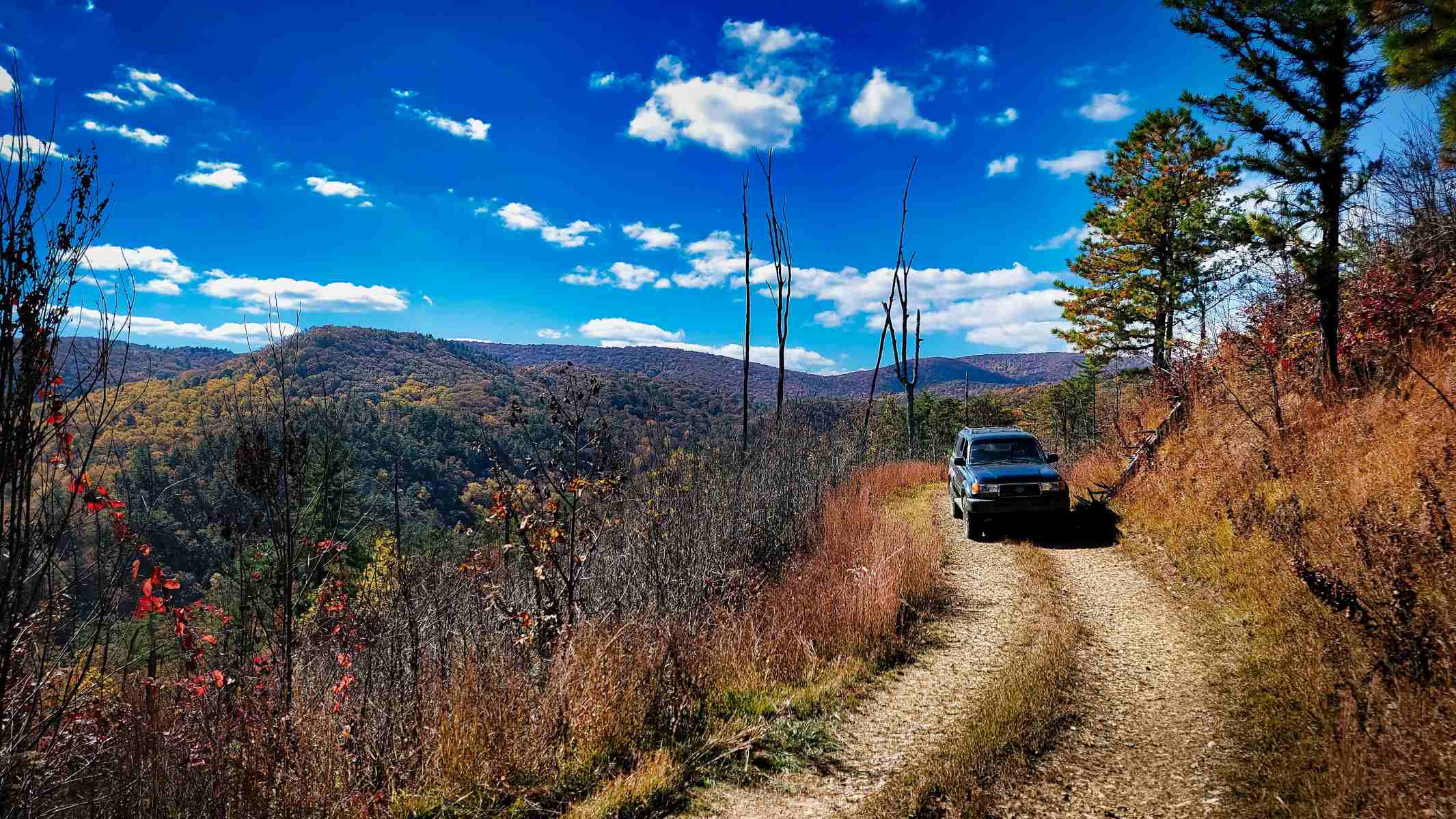 Secret-Paths-In-Dahlonega8217s-Mountains secret-paths-in-dahlonegas-mountains